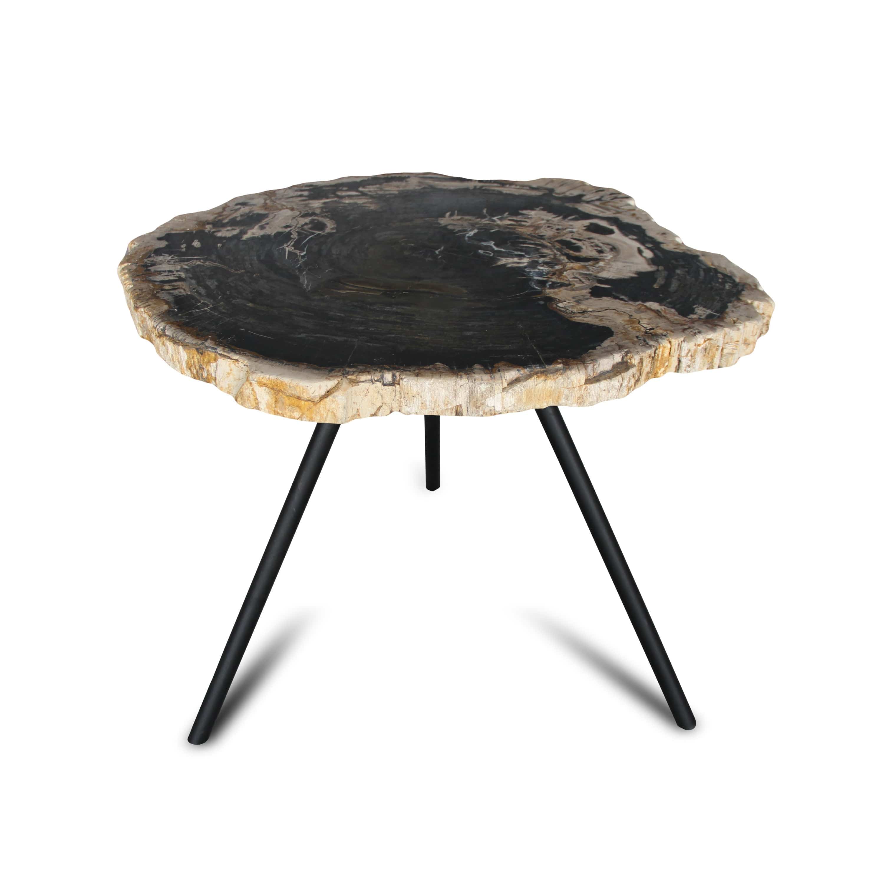Kalifano Petrified Wood Petrified Wood Round Slice Side Table from Indonesia - 30" / 84 lbs PWT3200.003