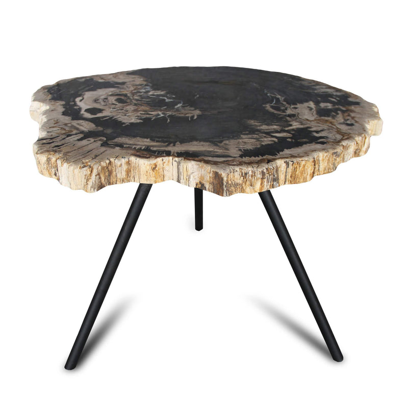 Kalifano Petrified Wood Petrified Wood Round Slice Side Table from Indonesia - 30" / 84 lbs PWT3200.003