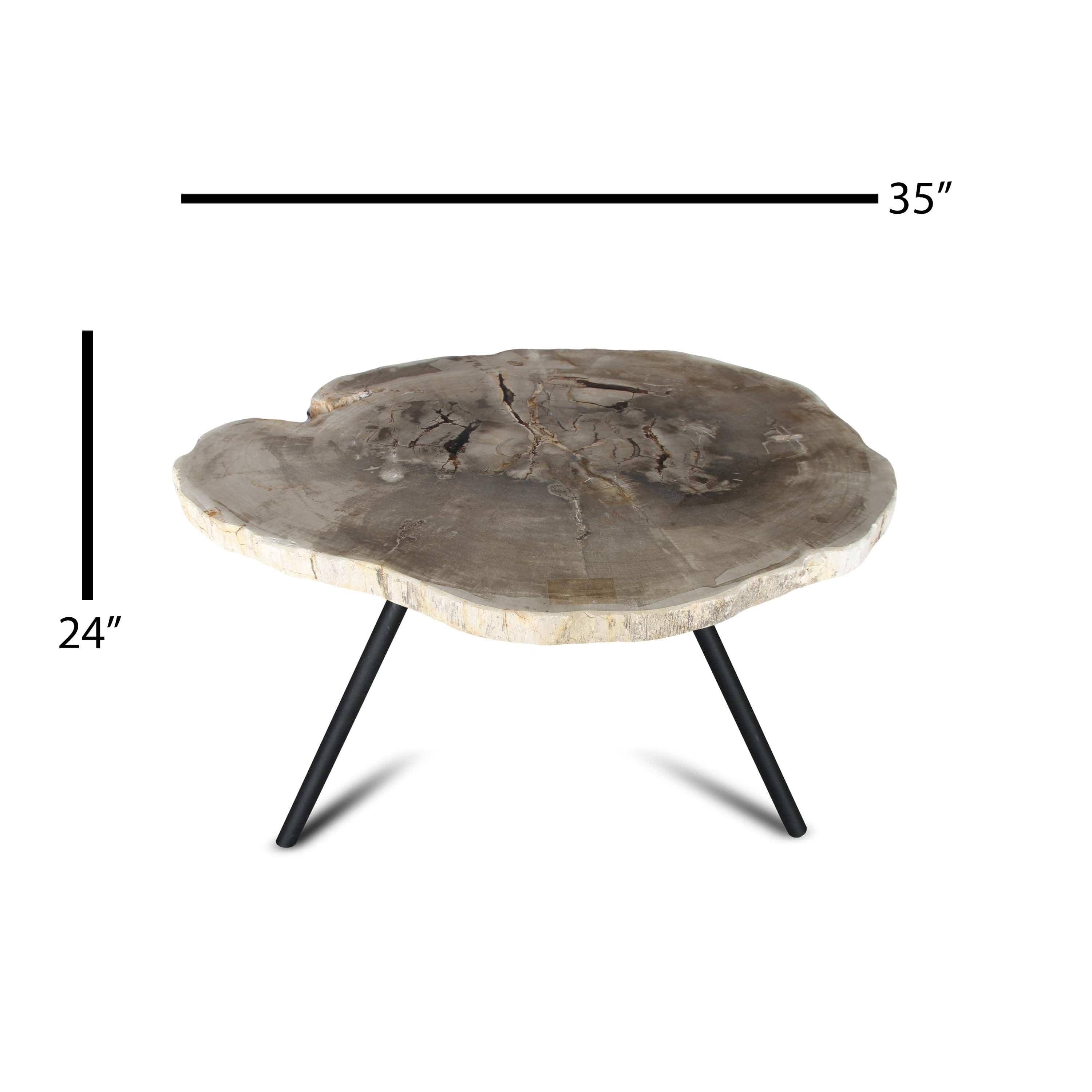 Kalifano Petrified Wood Petrified Wood Round Slice Side Table from Indonesia - 35" / 86 lbs PWT3200.002