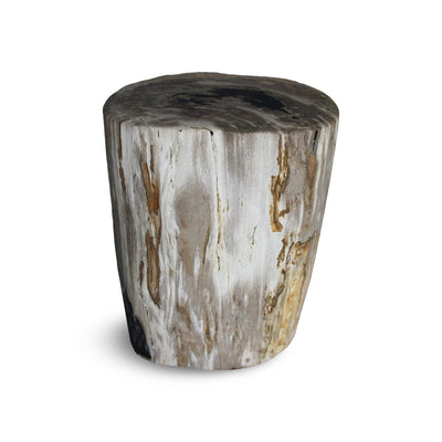 Kalifano Petrified Wood Petrified Wood Round Stump / Stool from Indonesia - 16" / 128 lbs PWS2400.011