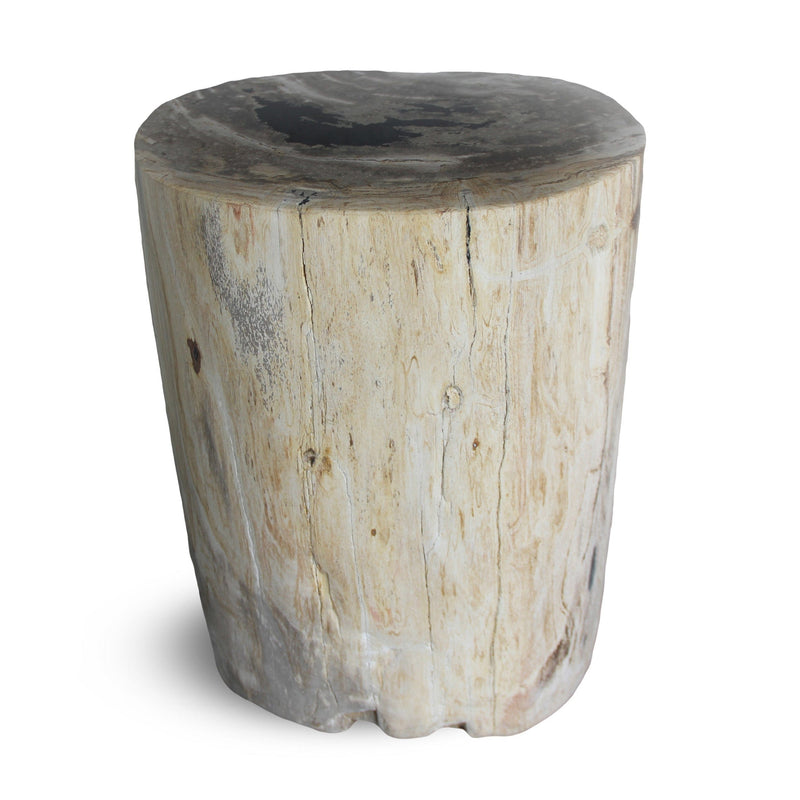 Kalifano Petrified Wood Petrified Wood Round Stump / Stool from Indonesia - 16" / 128 lbs PWS2400.011