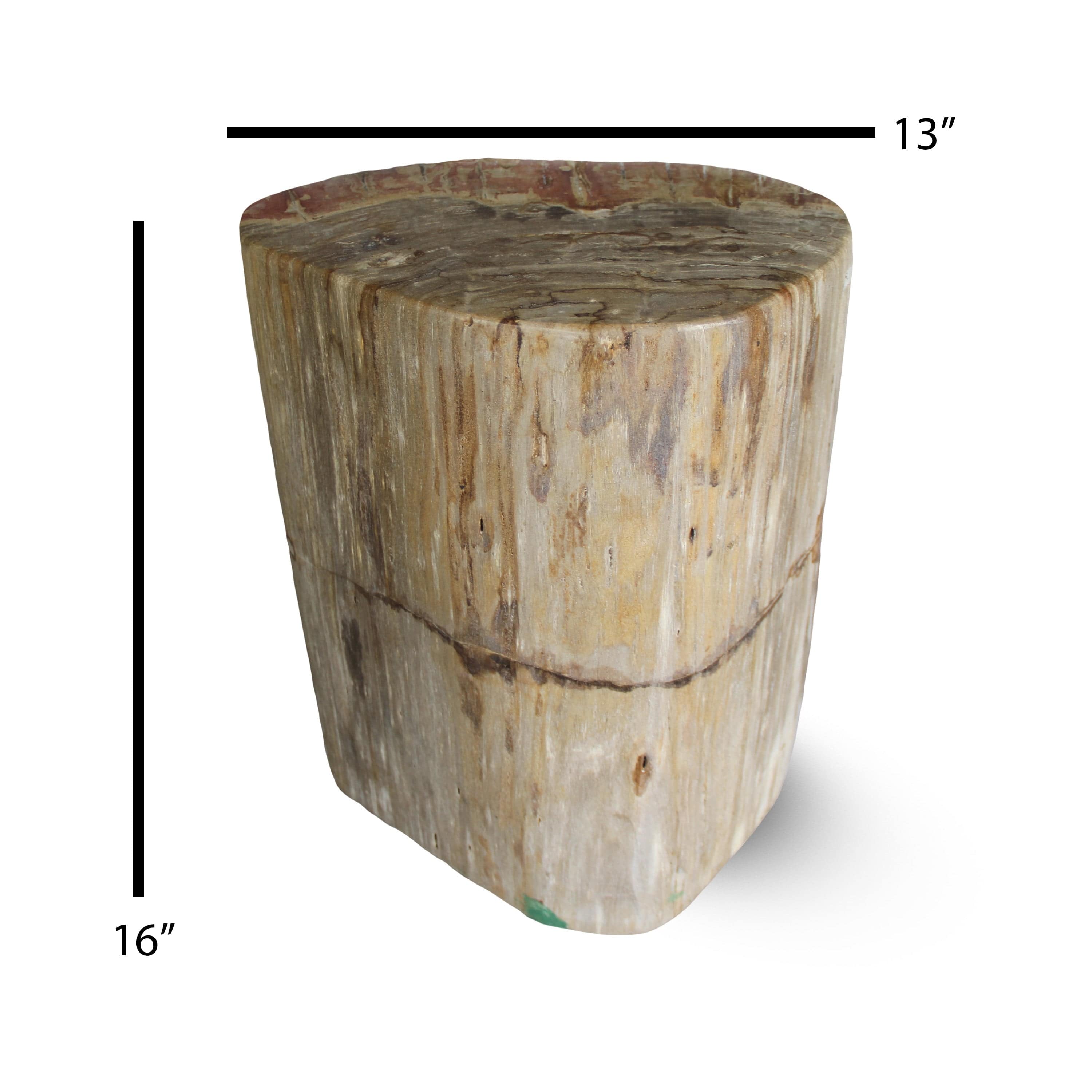 Kalifano Petrified Wood Petrified Wood Round Stump / Stool from Indonesia - 16" / 134 lbs PWS2600.005