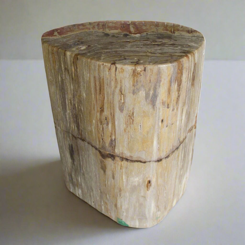 Kalifano Petrified Wood Petrified Wood Round Stump / Stool from Indonesia - 16" / 134 lbs PWS2600.005