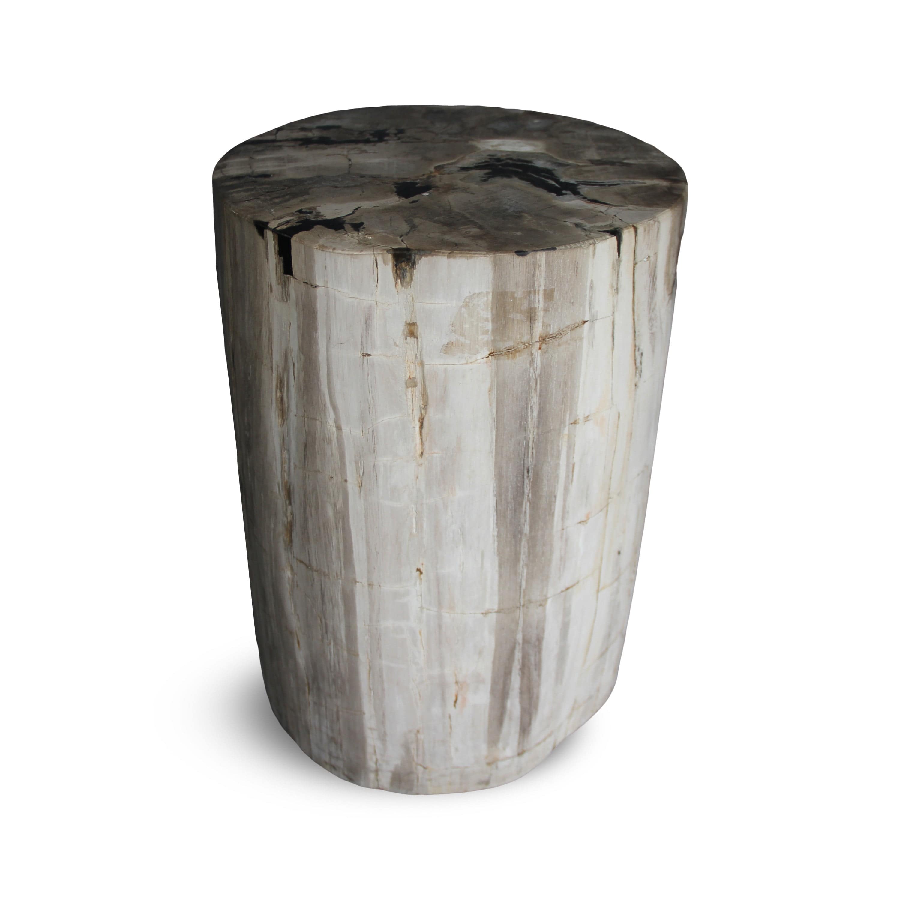 Kalifano Petrified Wood Petrified Wood Round Stump / Stool from Indonesia - 16" / 136 lbs PWS2600.006