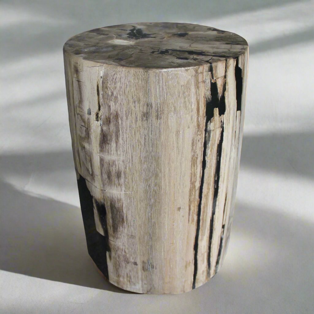 Kalifano Petrified Wood Petrified Wood Round Stump / Stool from Indonesia - 16" / 136 lbs PWS2600.006