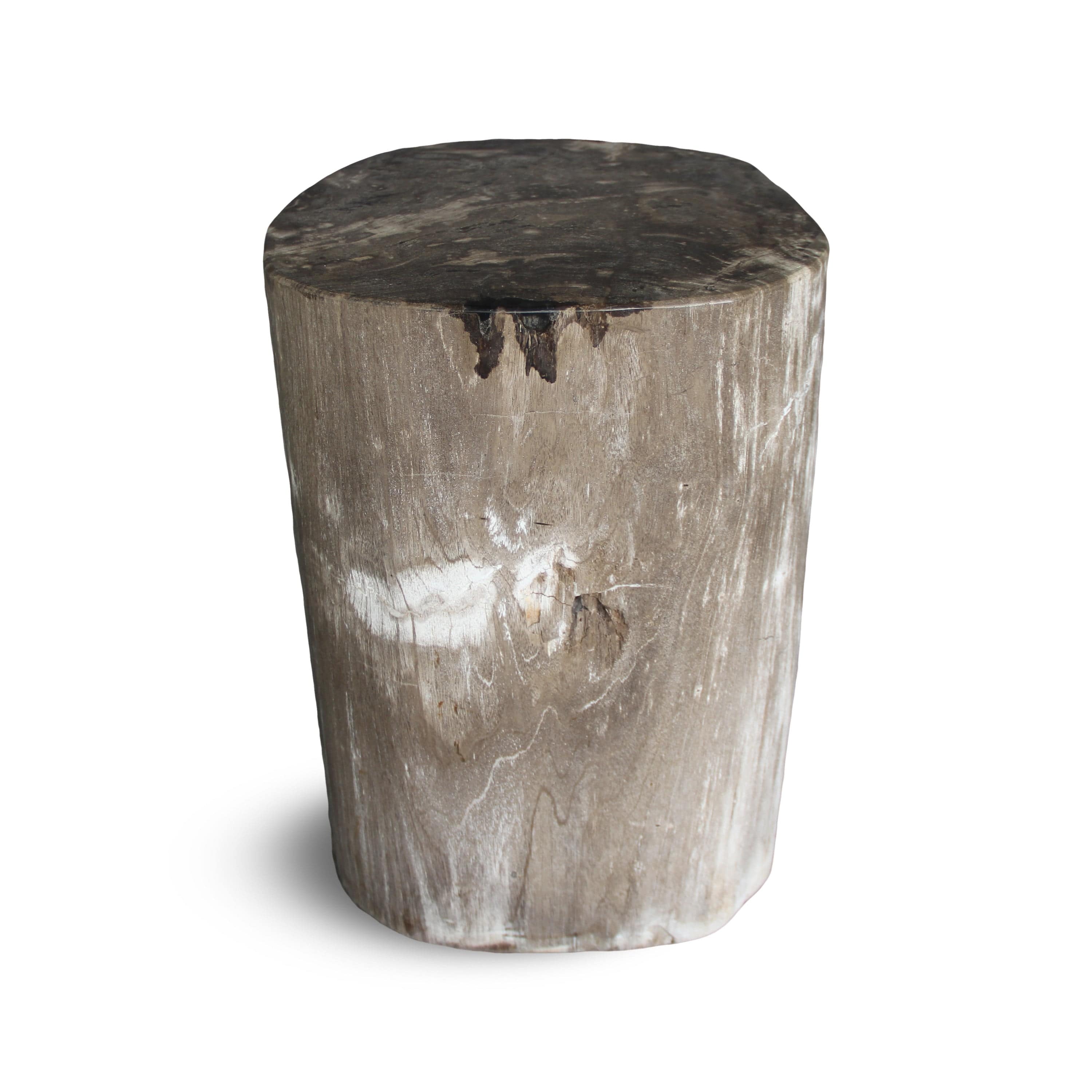 Kalifano Petrified Wood Petrified Wood Round Stump / Stool from Indonesia - 16" / 152 lbs PWS2800.006