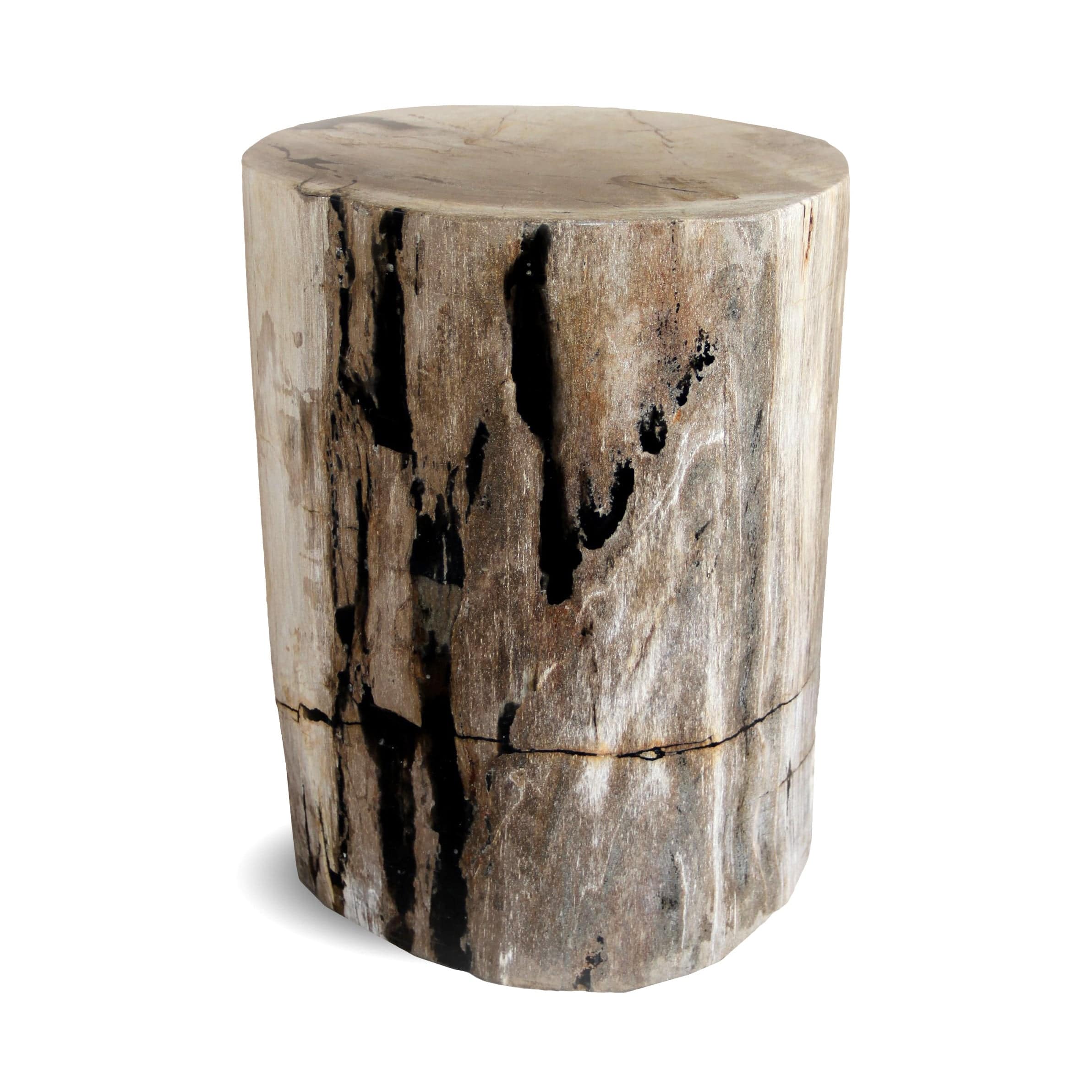 Kalifano Petrified Wood Petrified Wood Round Stump / Stool from Indonesia - 16" / 157 lbs PWS2800.005