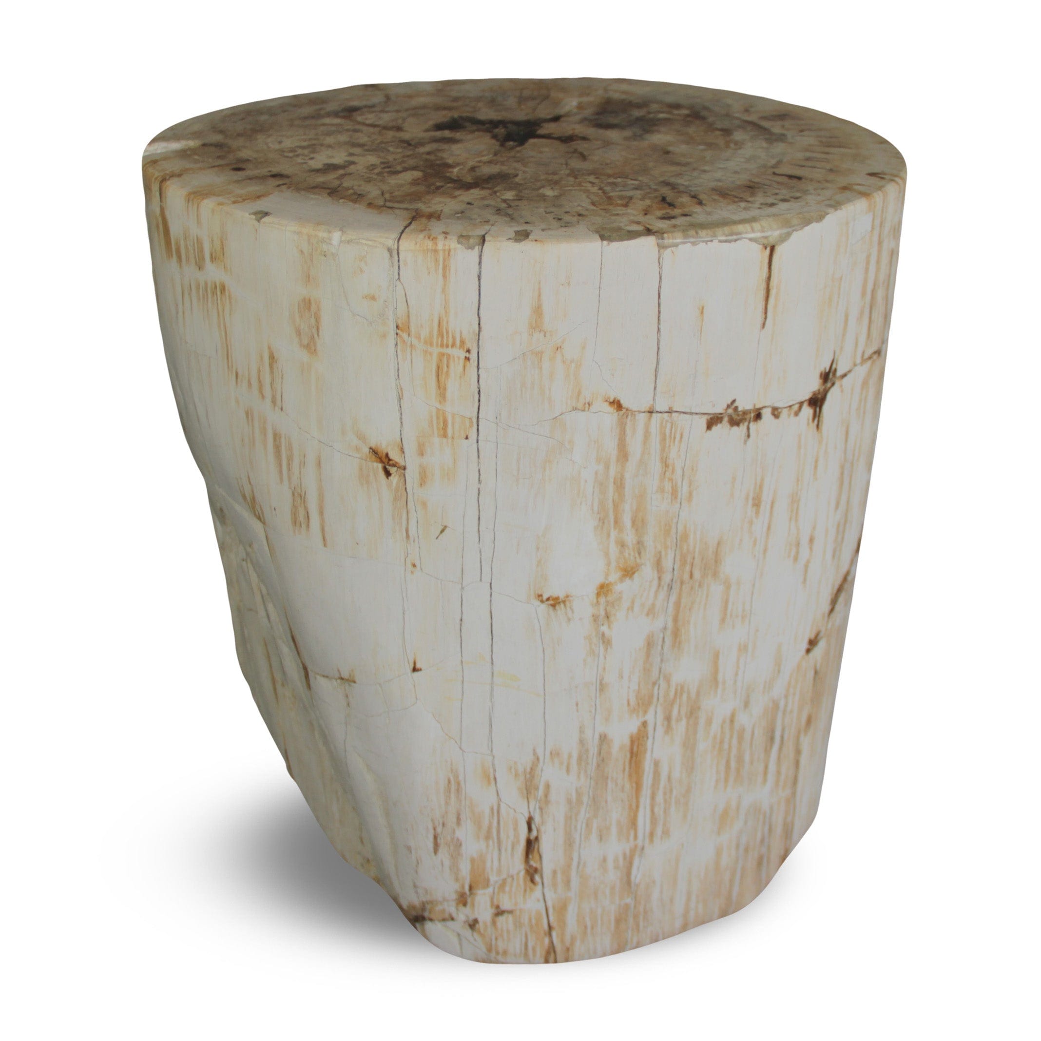 Kalifano Petrified Wood Petrified Wood Round Stump / Stool from Indonesia - 16" / 161 lbs PWS3000.008