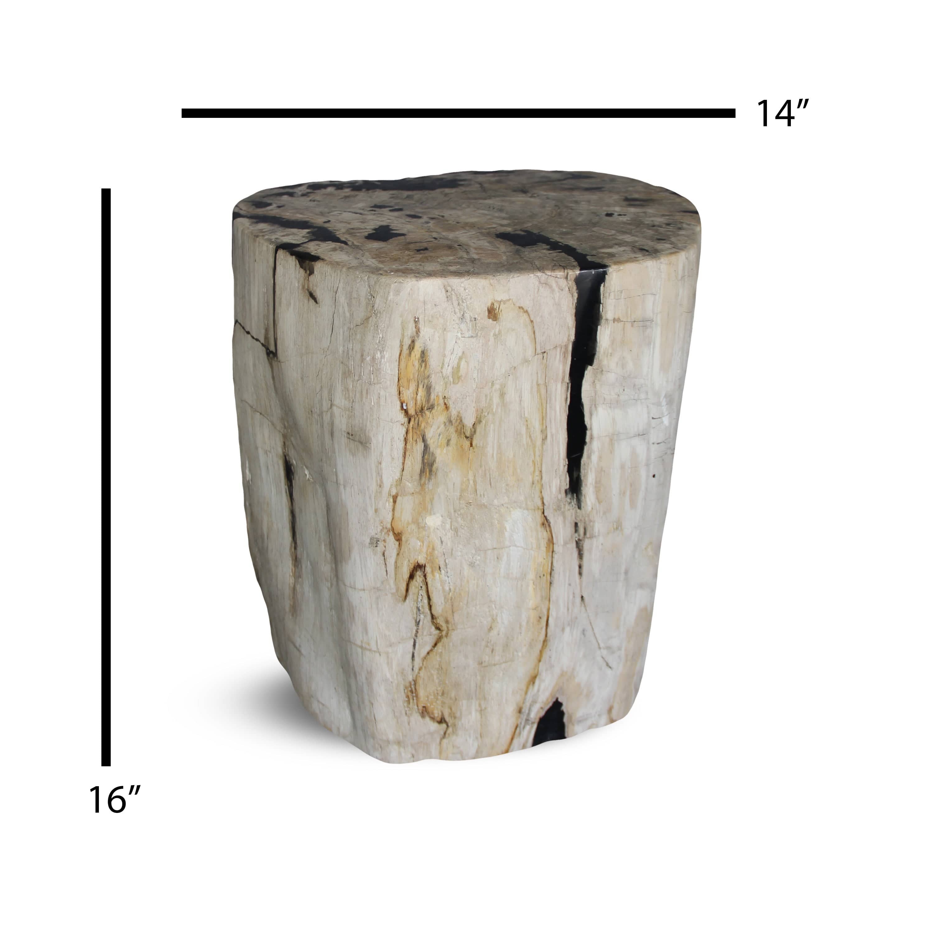 Kalifano Petrified Wood Petrified Wood Round Stump / Stool from Indonesia - 16" / 165 lbs PWS3000.001