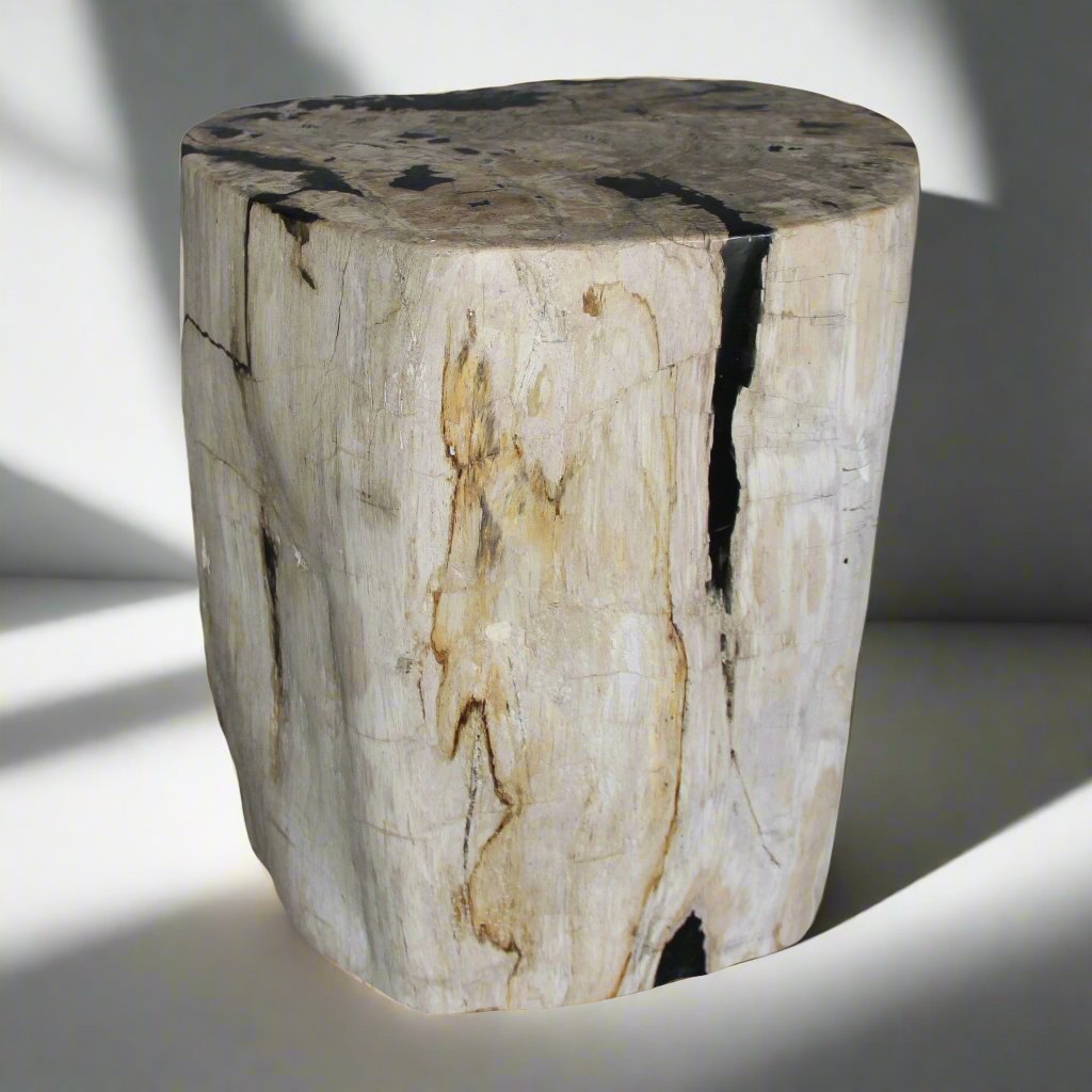 Kalifano Petrified Wood Petrified Wood Round Stump / Stool from Indonesia - 16" / 165 lbs PWS3000.001