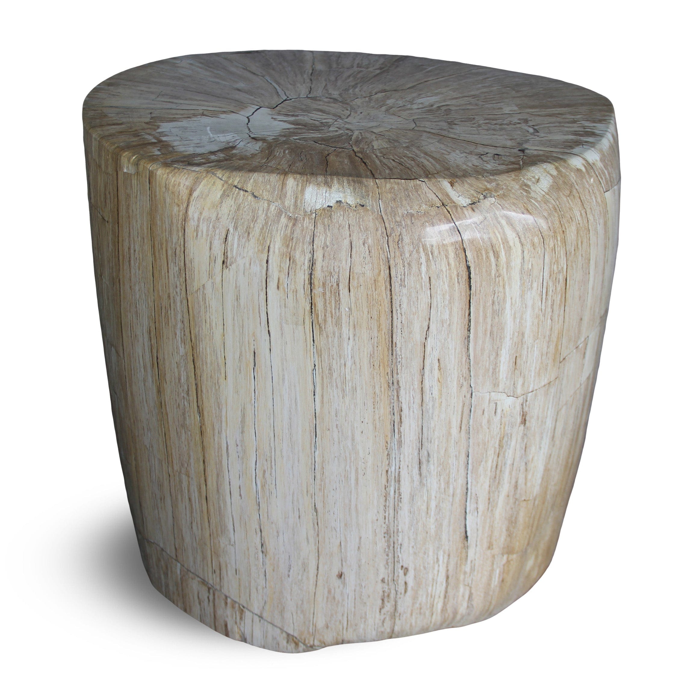 Kalifano Petrified Wood Petrified Wood Round Stump / Stool from Indonesia - 16" / 165 lbs PWS3000.007