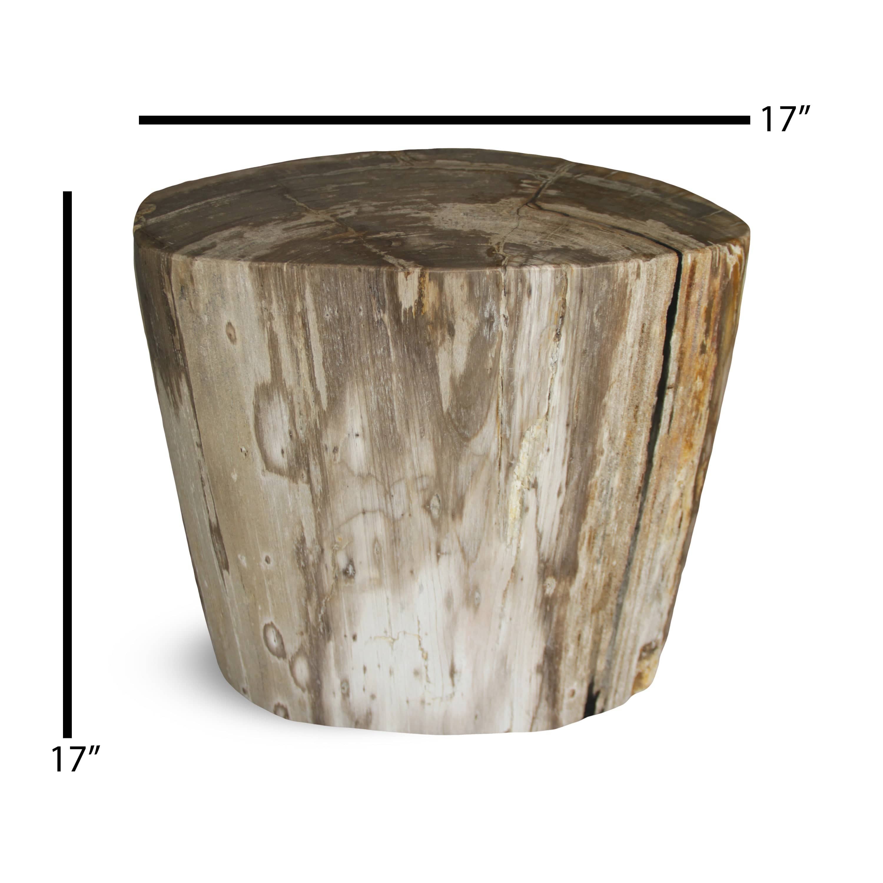 Kalifano Petrified Wood Petrified Wood Round Stump / Stool from Indonesia - 16" / 172 lbs PWS3200.007