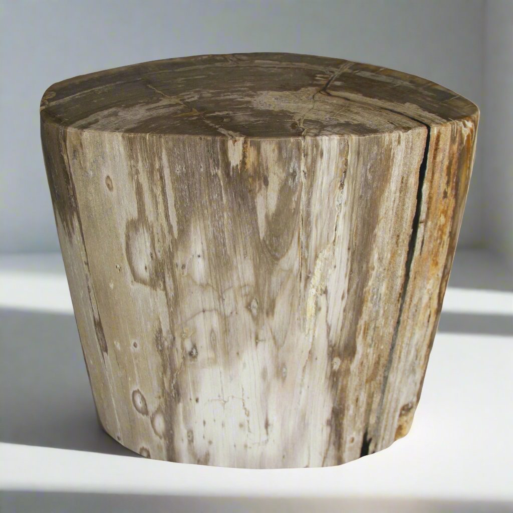 Kalifano Petrified Wood Petrified Wood Round Stump / Stool from Indonesia - 16" / 172 lbs PWS3200.007