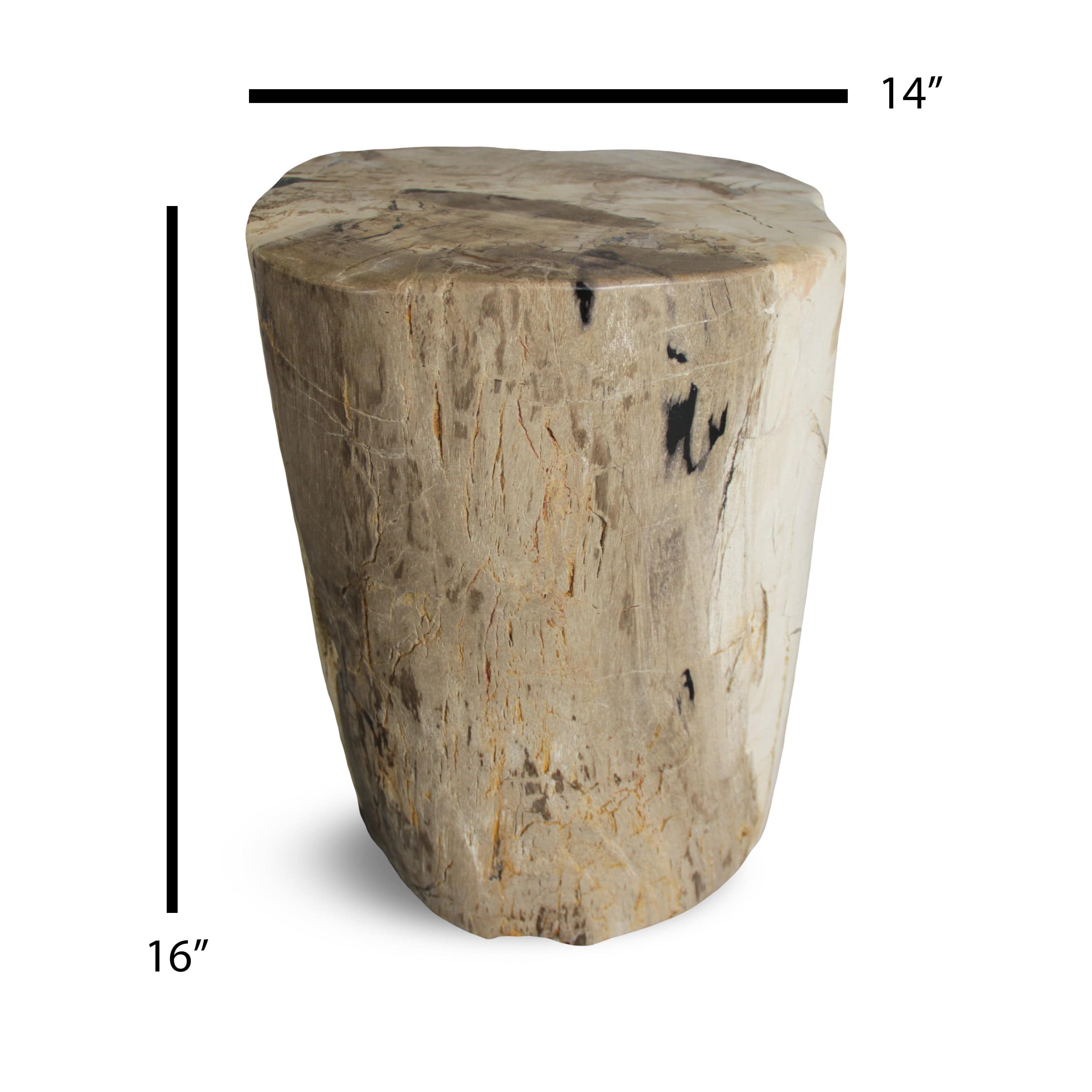 Kalifano Petrified Wood Petrified Wood Round Stump / Stool from Indonesia - 16" / 172 lbs PWS3200.008