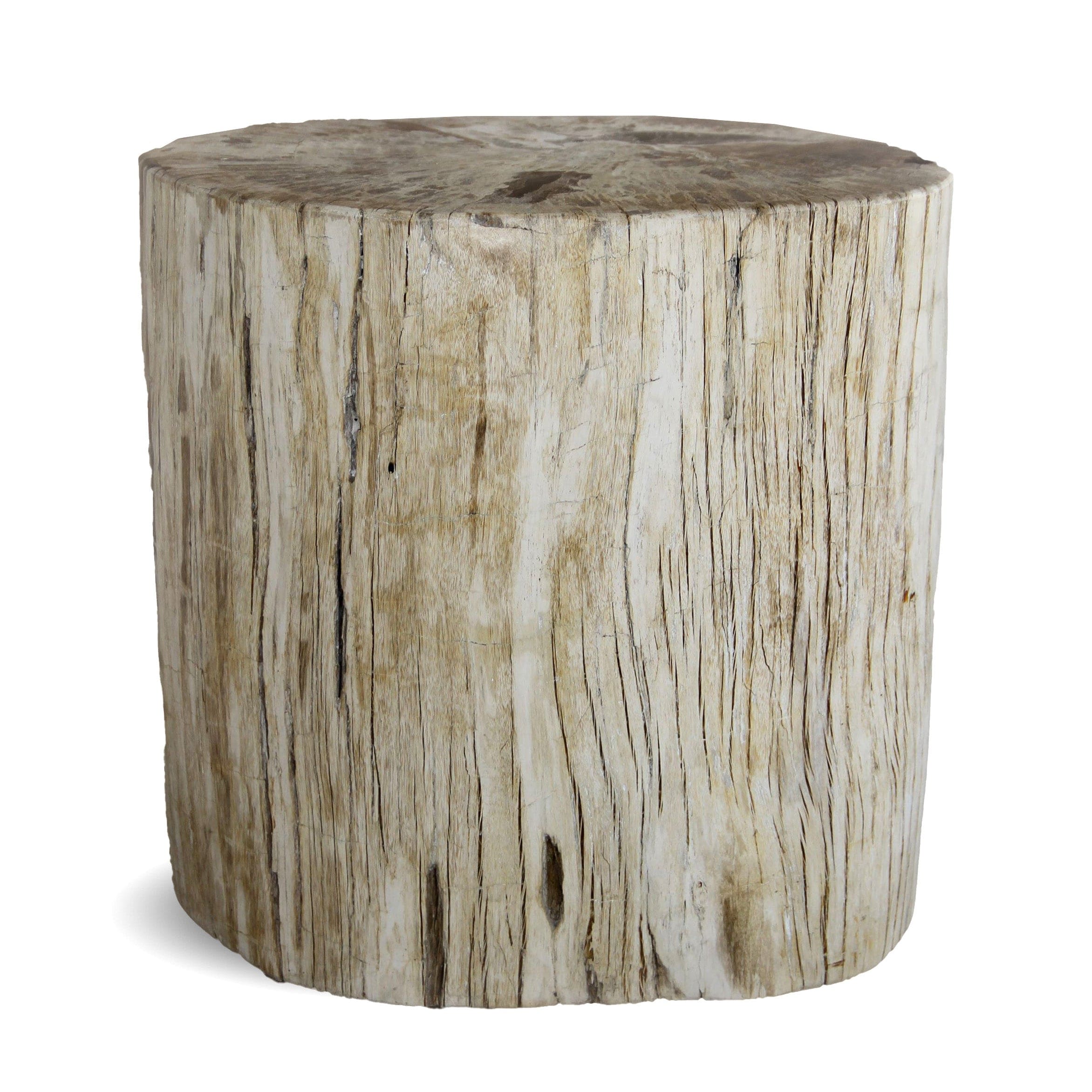 Kalifano Petrified Wood Petrified Wood Round Stump / Stool from Indonesia - 16" / 181 lbs PWS3300.003