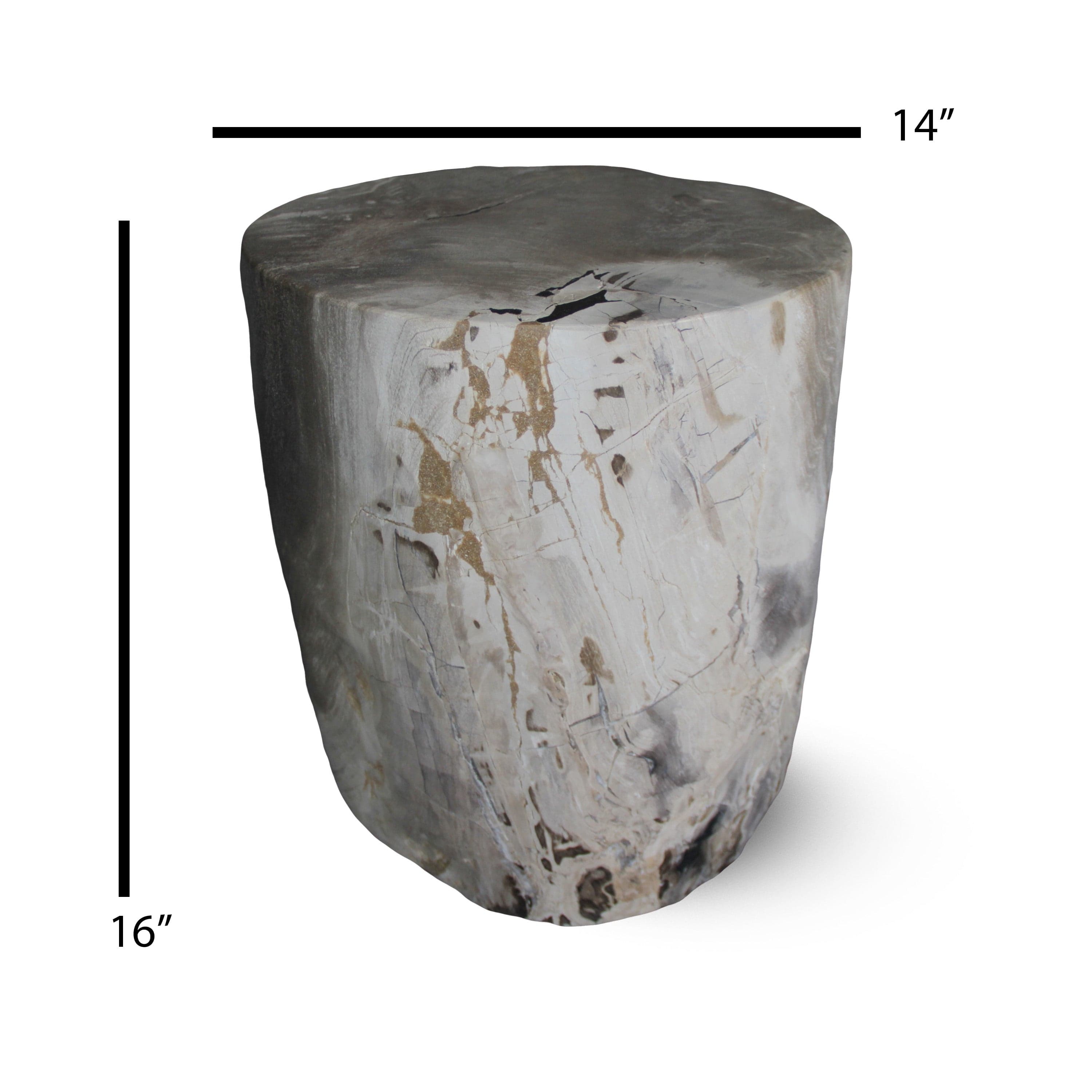 Kalifano Petrified Wood Petrified Wood Round Stump / Stool from Indonesia - 16" / 185 lbs PWS3400.011