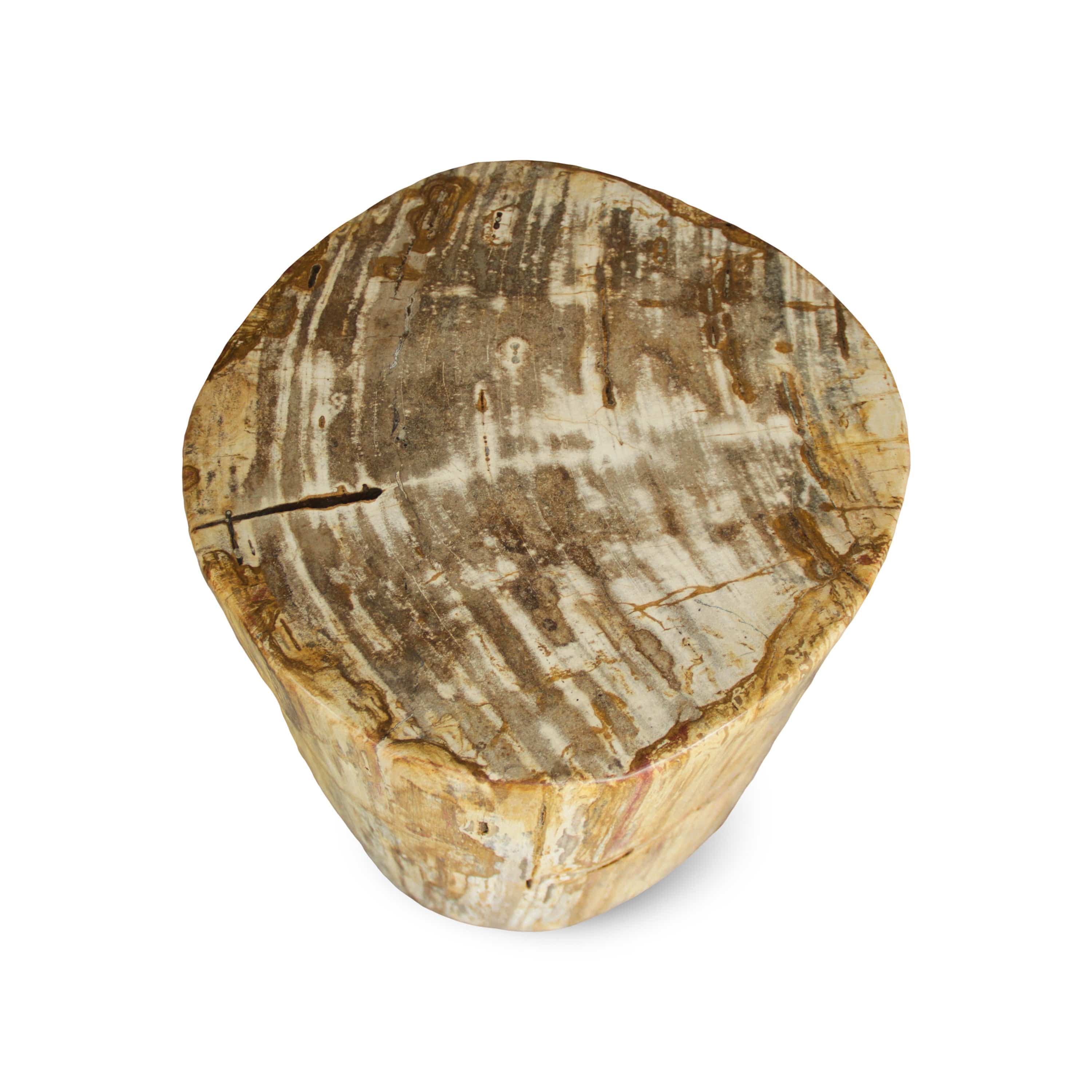 Kalifano Petrified Wood Petrified Wood Round Stump / Stool from Indonesia - 16" / 187 lbs PWS3400.008