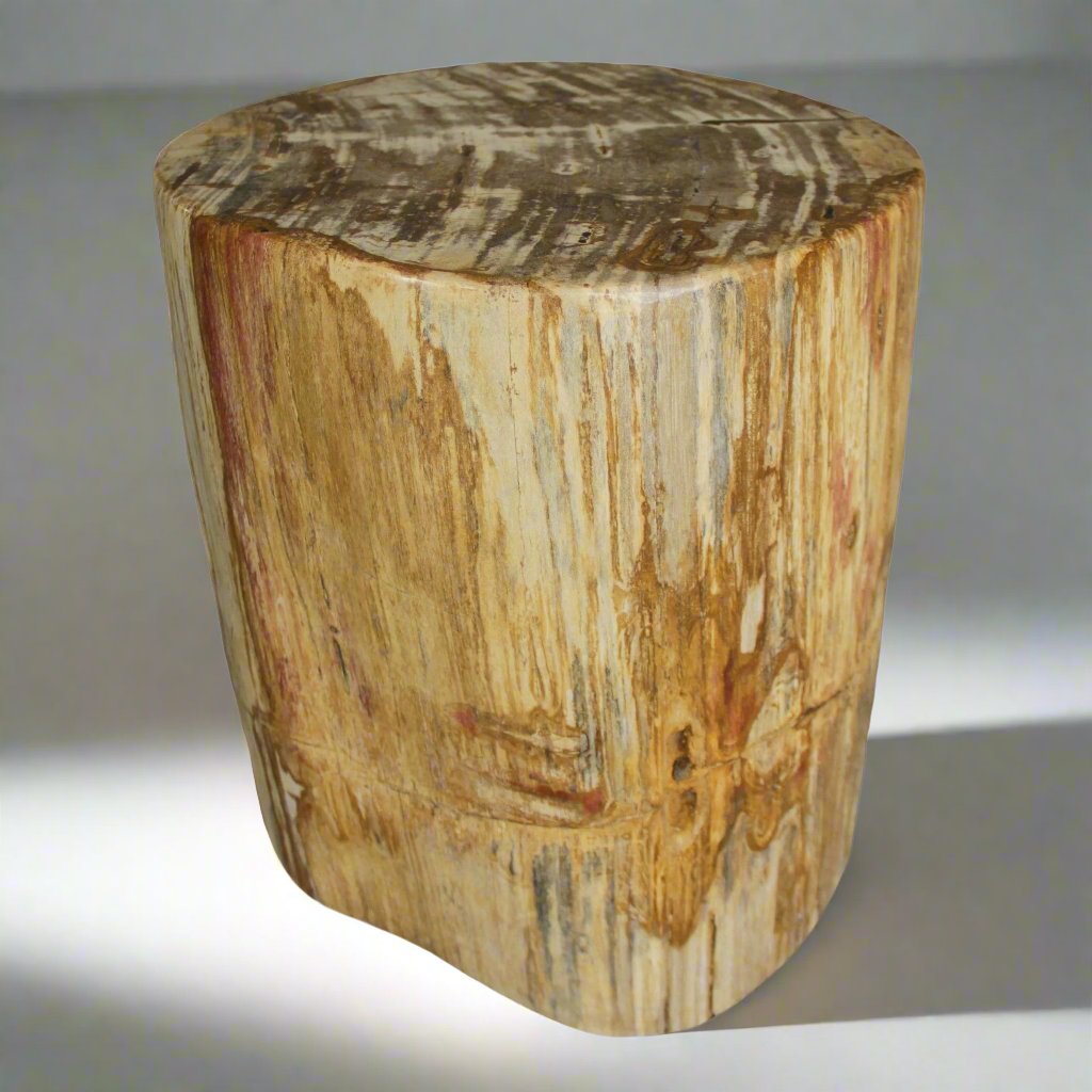 Kalifano Petrified Wood Petrified Wood Round Stump / Stool from Indonesia - 16" / 187 lbs PWS3400.008