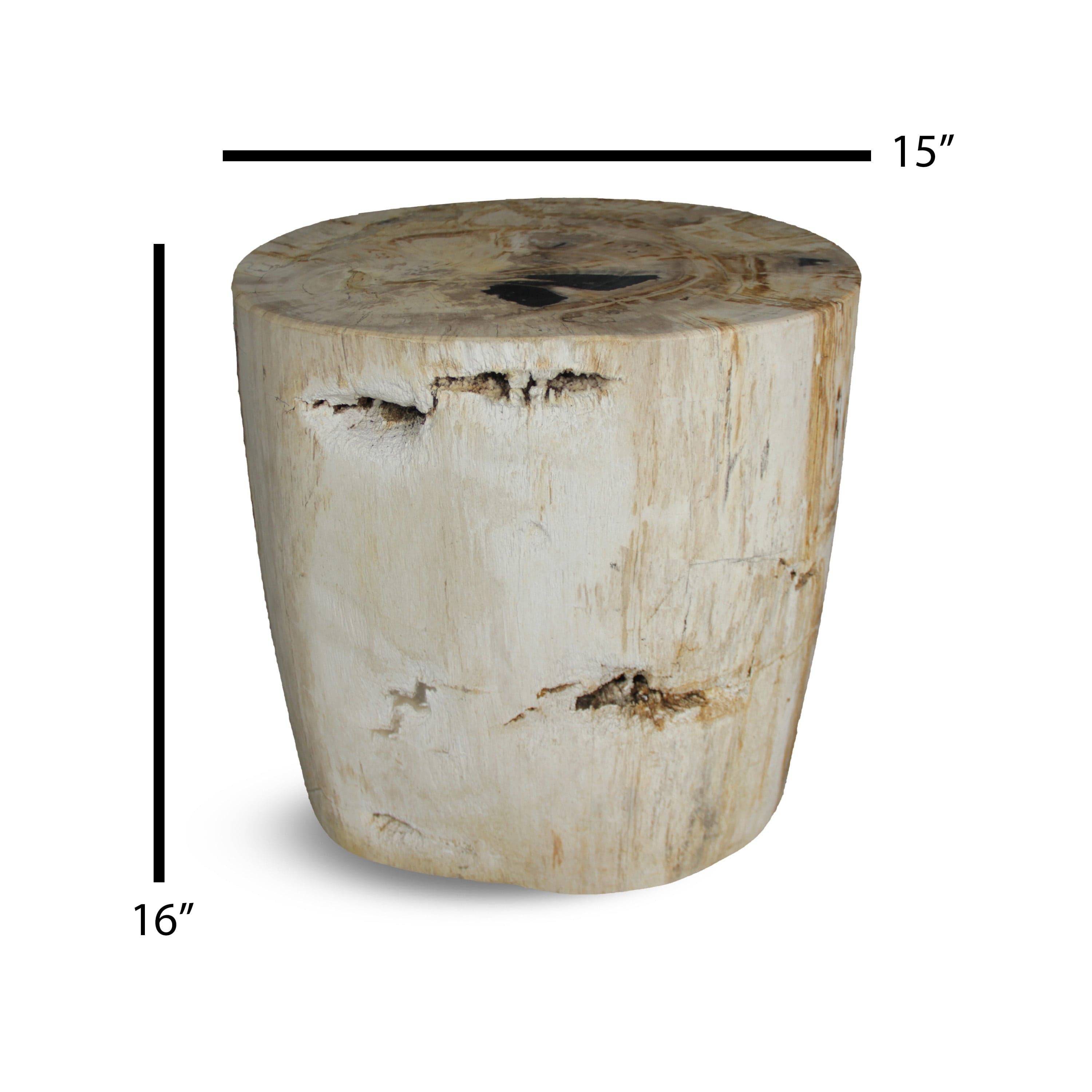 Kalifano Petrified Wood Petrified Wood Round Stump / Stool from Indonesia - 16" / 191 lbs PWS3600.003