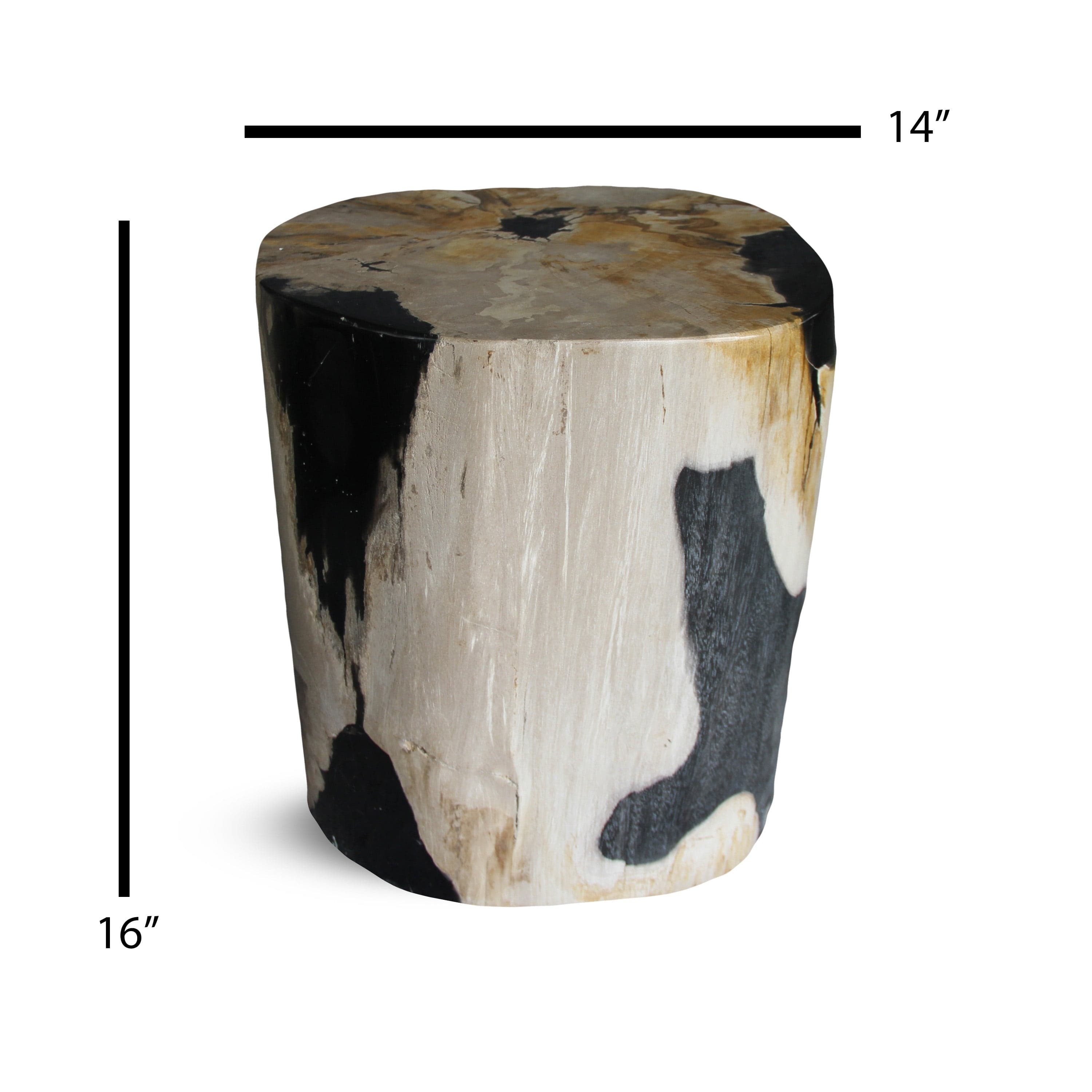 Kalifano Petrified Wood Petrified Wood Round Stump / Stool from Indonesia - 16" / 198 lbs PWS3600.004