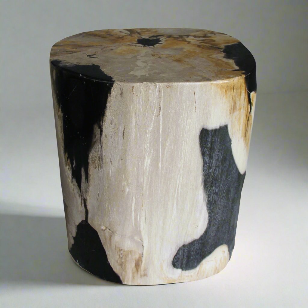 Kalifano Petrified Wood Petrified Wood Round Stump / Stool from Indonesia - 16" / 198 lbs PWS3600.004