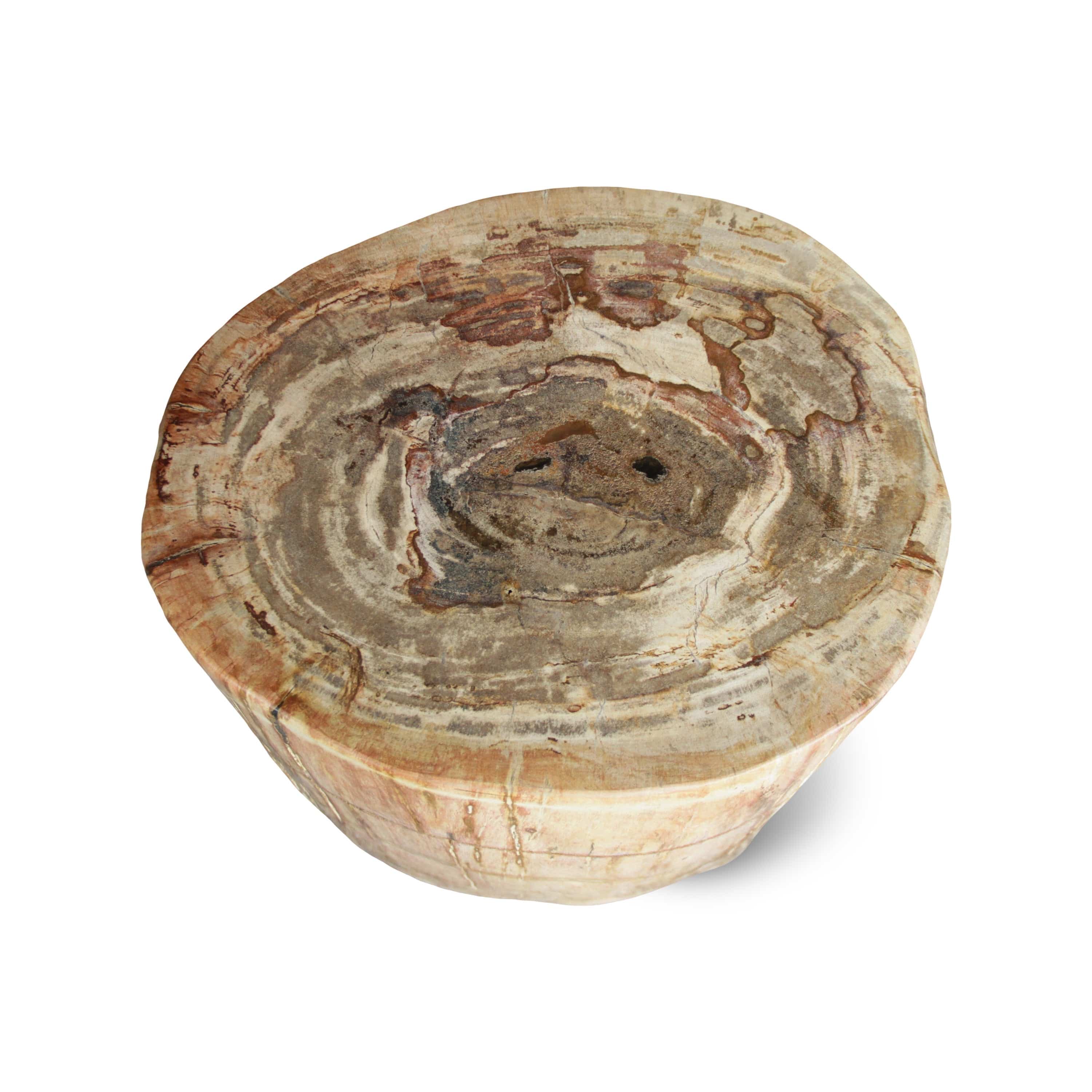 Kalifano Petrified Wood Petrified Wood Round Stump / Stool from Indonesia - 16" / 231 lbs PWS4200.004