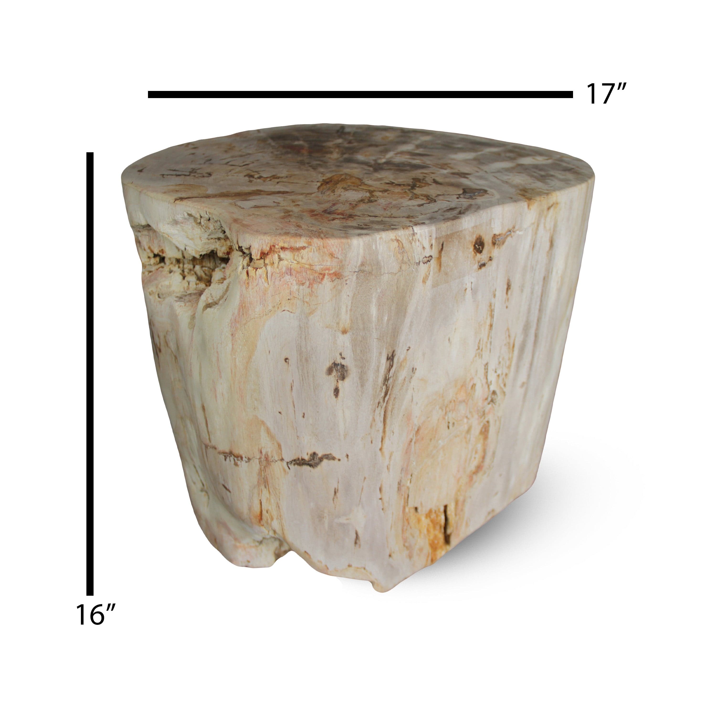 Kalifano Petrified Wood Petrified Wood Round Stump / Stool from Indonesia - 16" / 231 lbs PWS4200.005