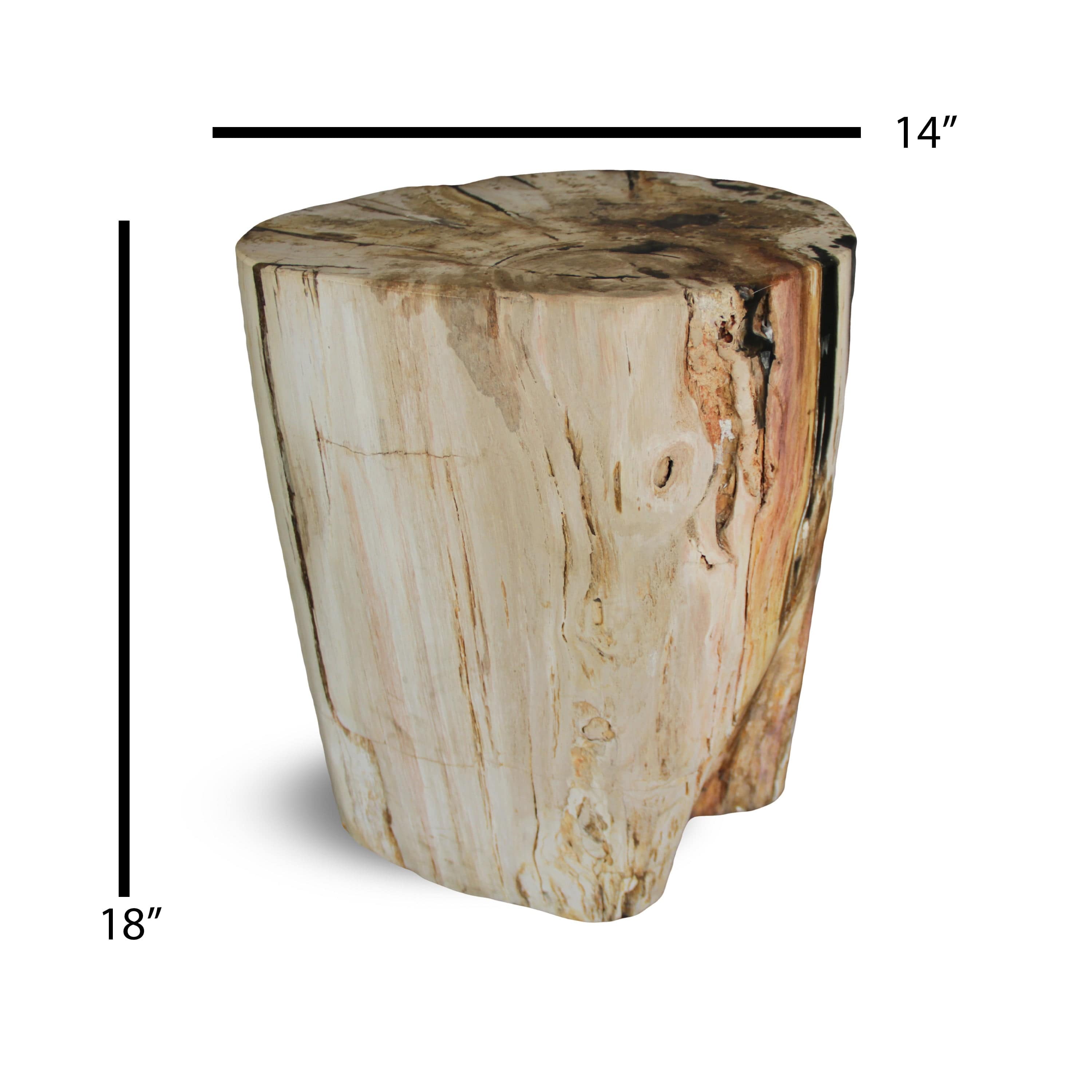 Kalifano Petrified Wood Petrified Wood Round Stump / Stool from Indonesia - 16" / 233 lbs PWS4400.010