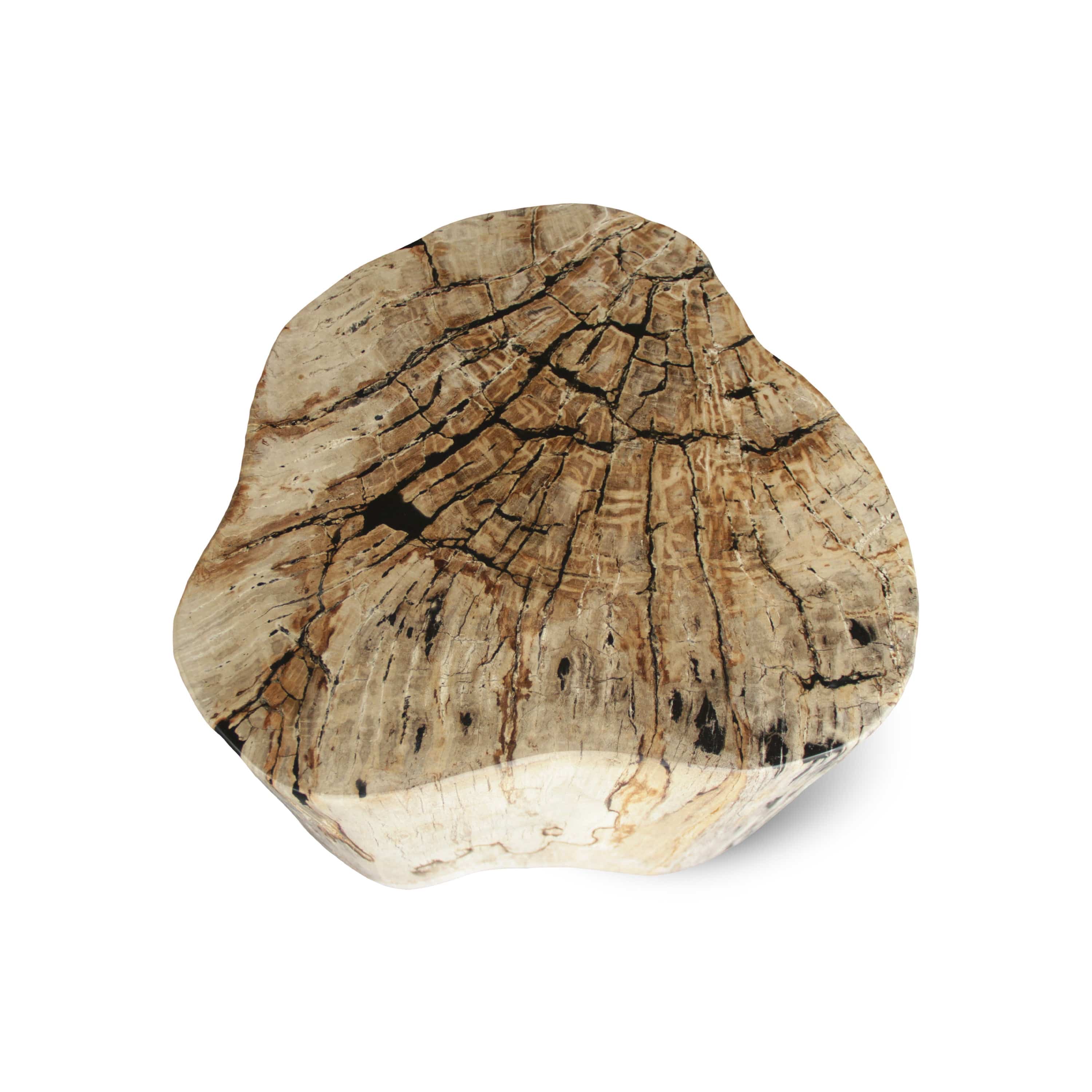 Kalifano Petrified Wood Petrified Wood Round Stump / Stool from Indonesia - 16" / 240 lbs PWS4400.007