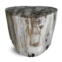 Petrified Wood Round Stump / Stool from Indonesia - 16