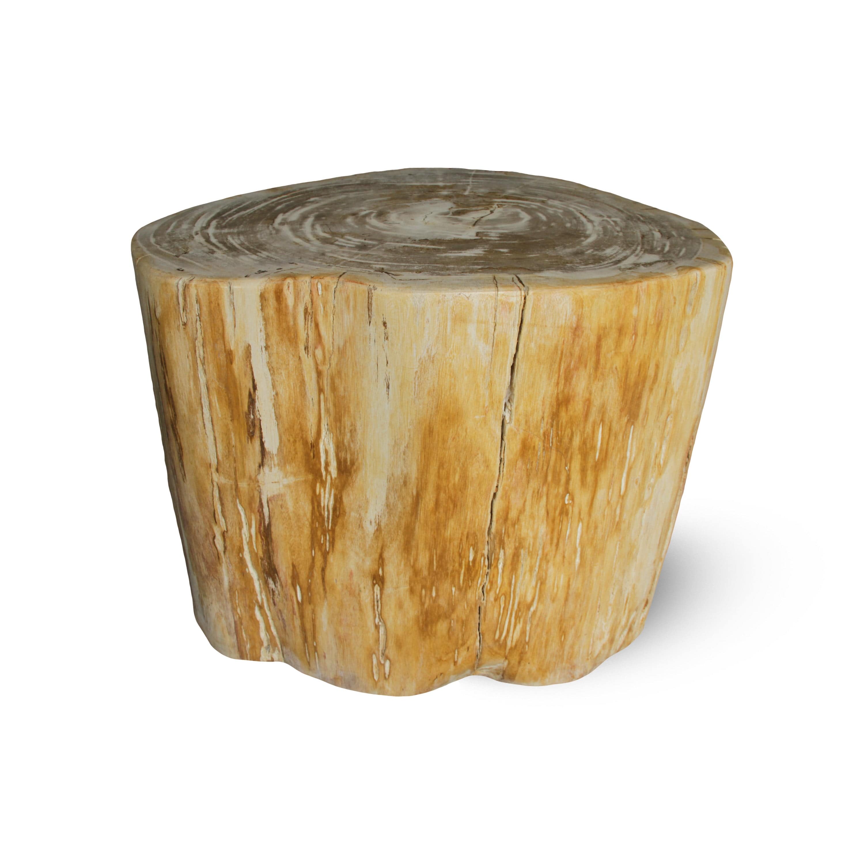 Kalifano Petrified Wood Petrified Wood Round Stump / Stool from Indonesia - 16" / 286 lbs PWS5200.005