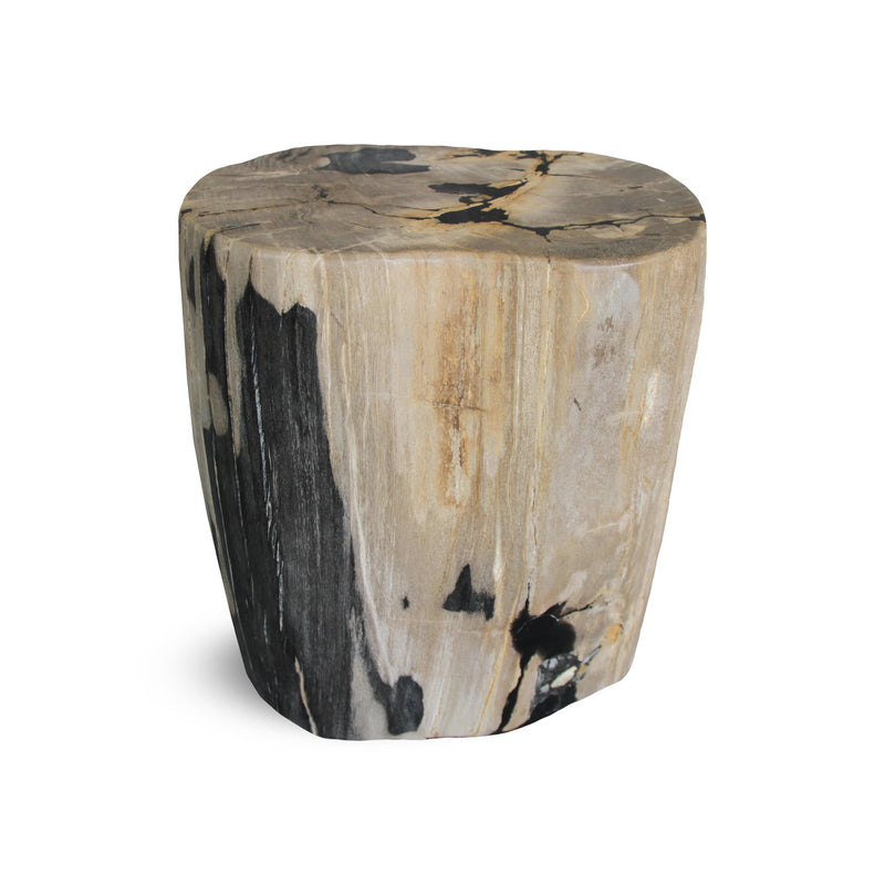 Kalifano Petrified Wood Petrified Wood Round Stump / Stool from Indonesia - 17" / 240 lbs PWS4400.009