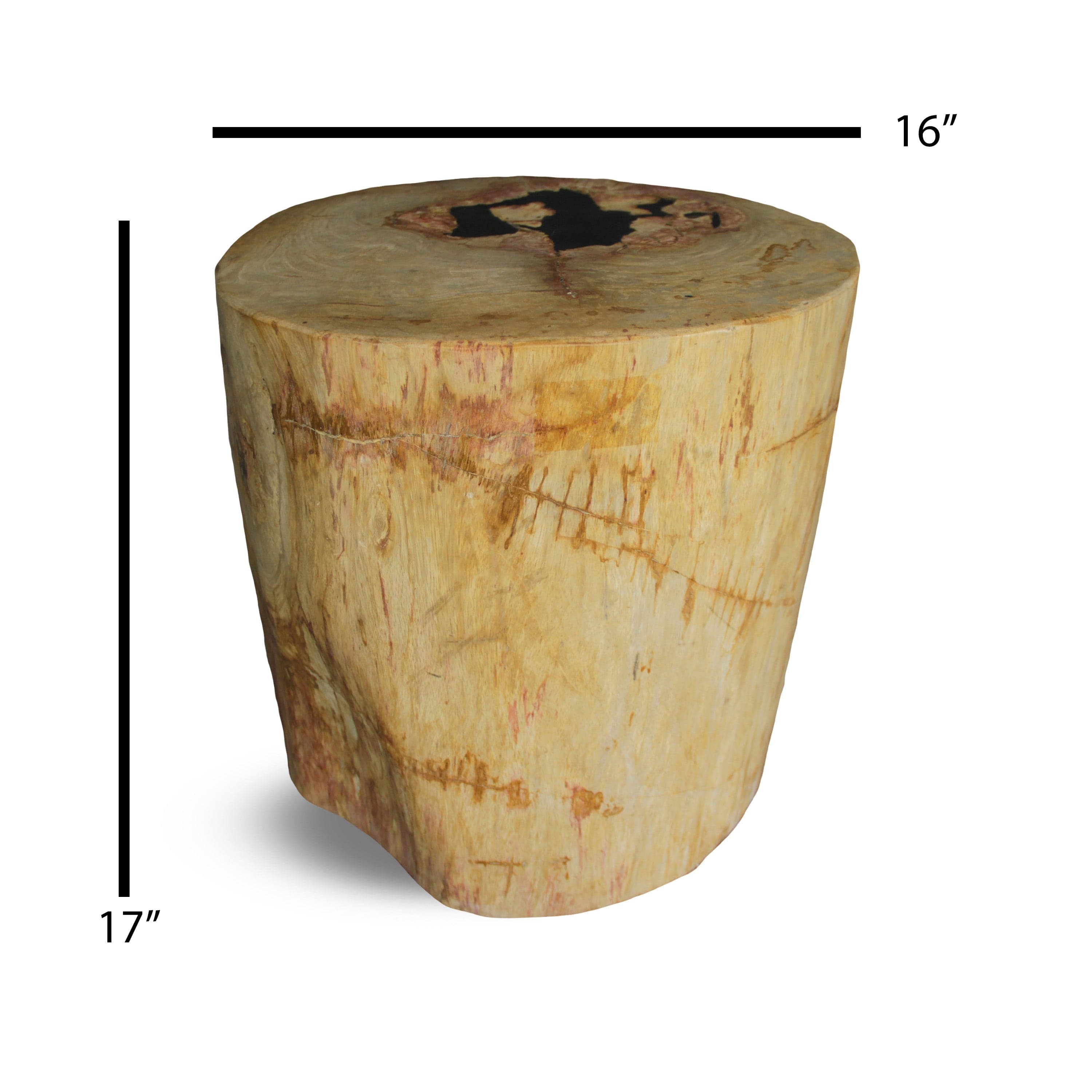 Kalifano Petrified Wood Petrified Wood Round Stump / Stool from Indonesia - 17" / 255 lbs PWS4800.003