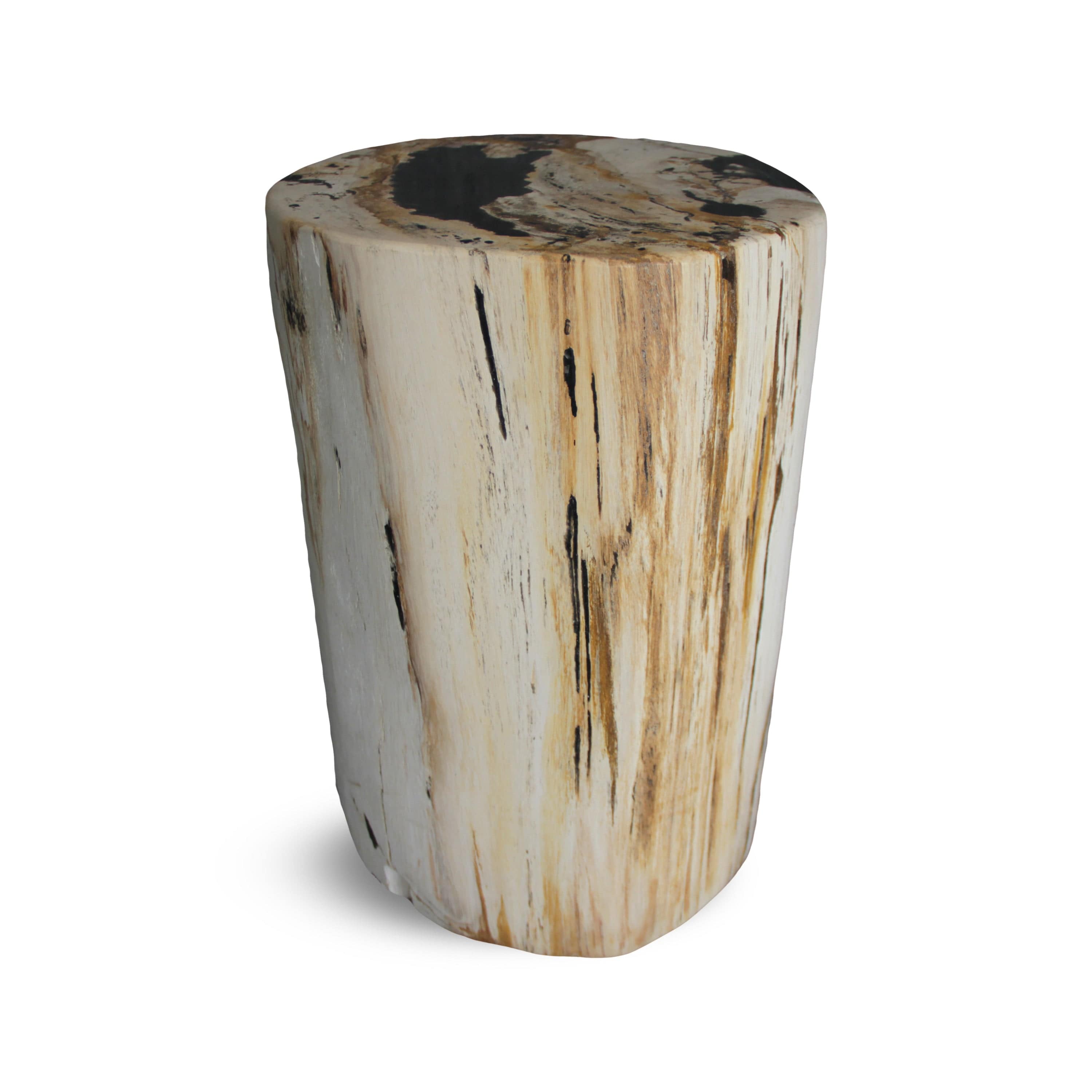 Kalifano Petrified Wood Petrified Wood Round Stump / Stool from Indonesia - 18" / 154 lbs PWS2800.010