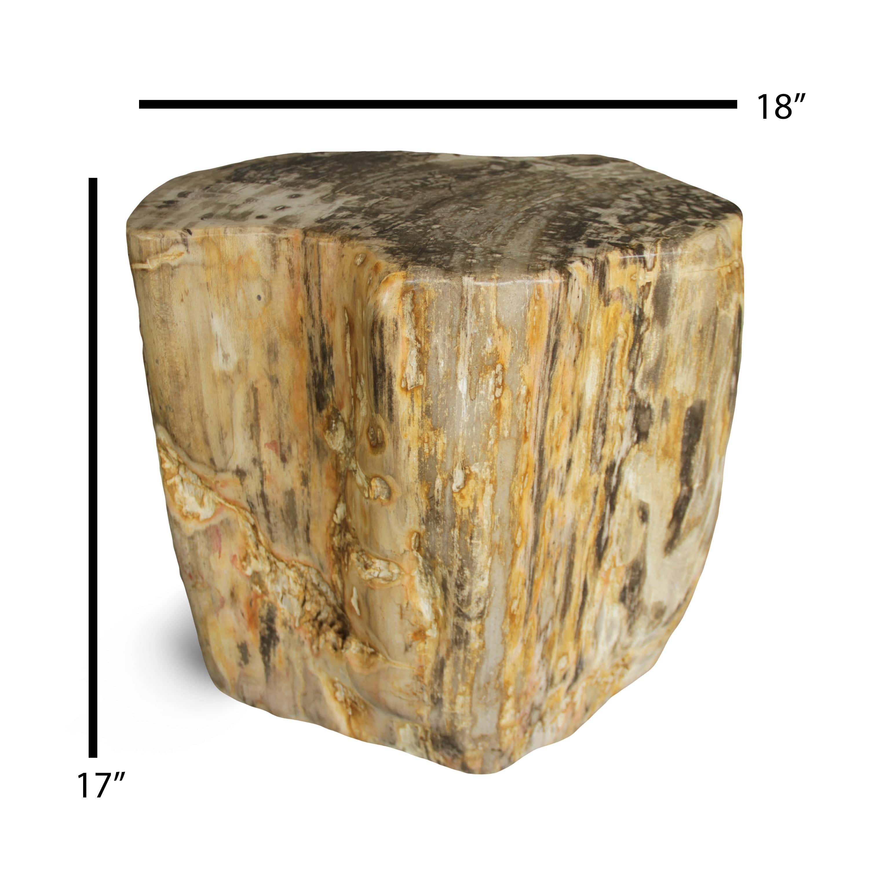 Kalifano Petrified Wood Petrified Wood Round Stump / Stool from Indonesia - 18" / 286 lbs PWS5200.003