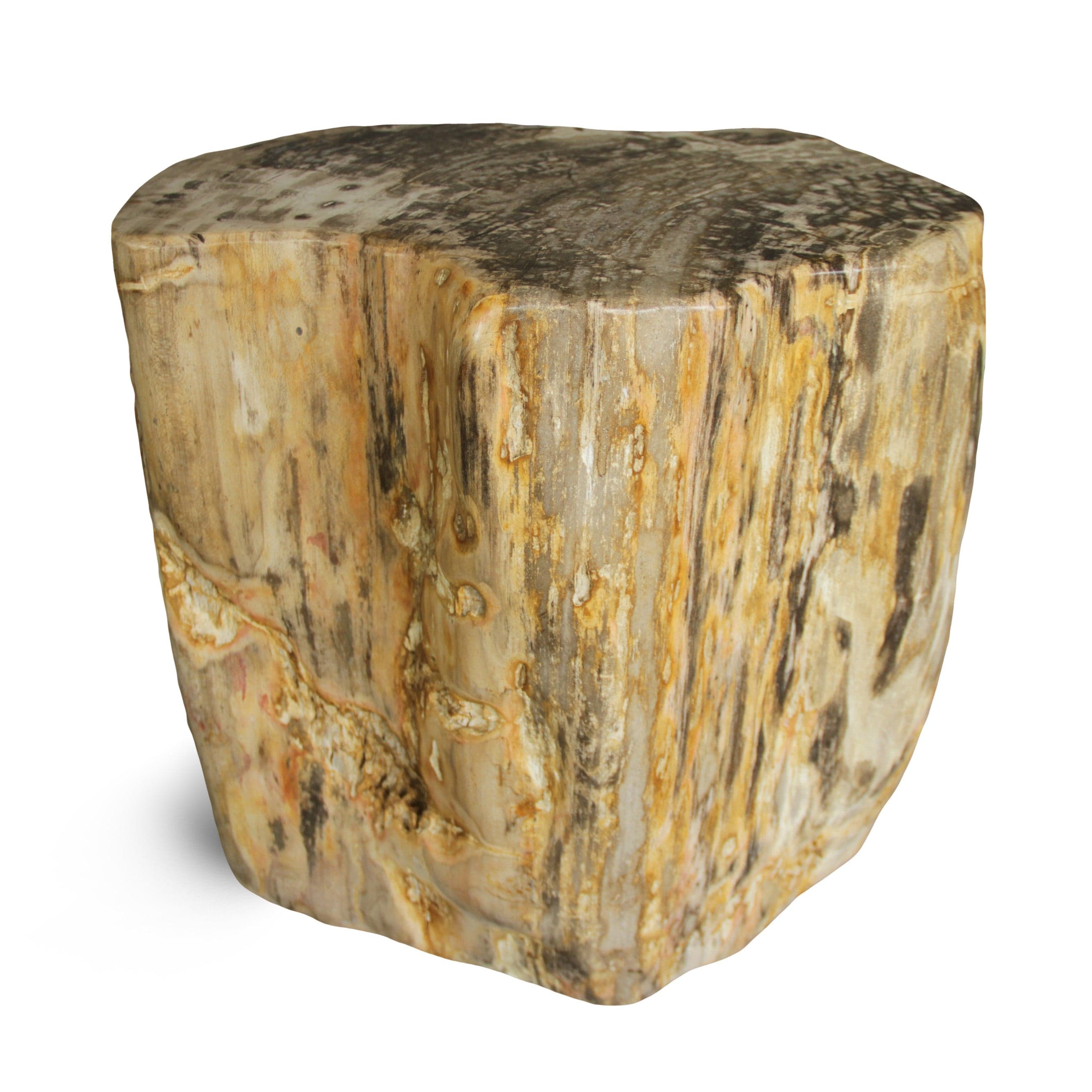 Kalifano Petrified Wood Petrified Wood Round Stump / Stool from Indonesia - 18" / 286 lbs PWS5200.003