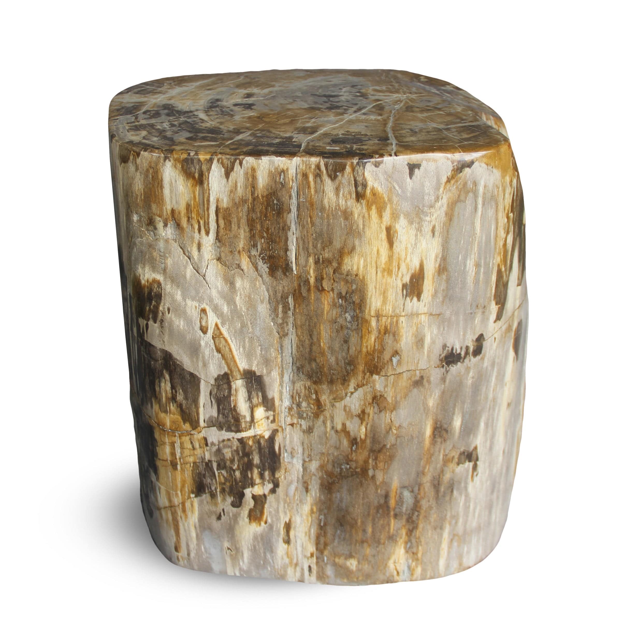 Kalifano Petrified Wood Petrified Wood Round Stump / Stool from Indonesia - 18" / 286 lbs PWS5200.004