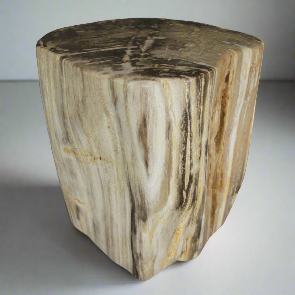 Kalifano Petrified Wood Petrified Wood Round Stump / Stool from Indonesia - 18" / 295 lbs PWS5400.002