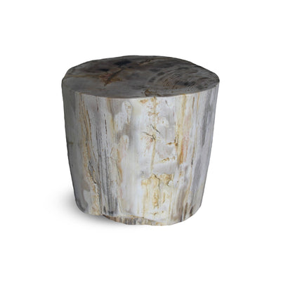 Kalifano Petrified Wood Petrified Wood Round Stump / Stool from Indonesia - 18" / 352 lbs PWS6400.001