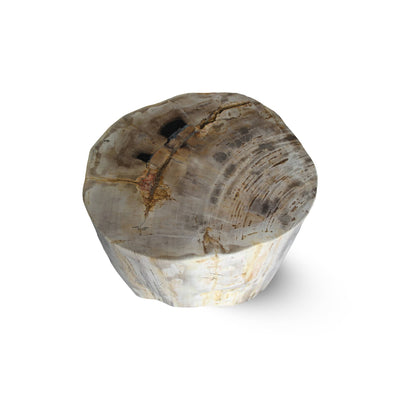 Kalifano Petrified Wood Petrified Wood Round Stump / Stool from Indonesia - 18" / 352 lbs PWS6400.001
