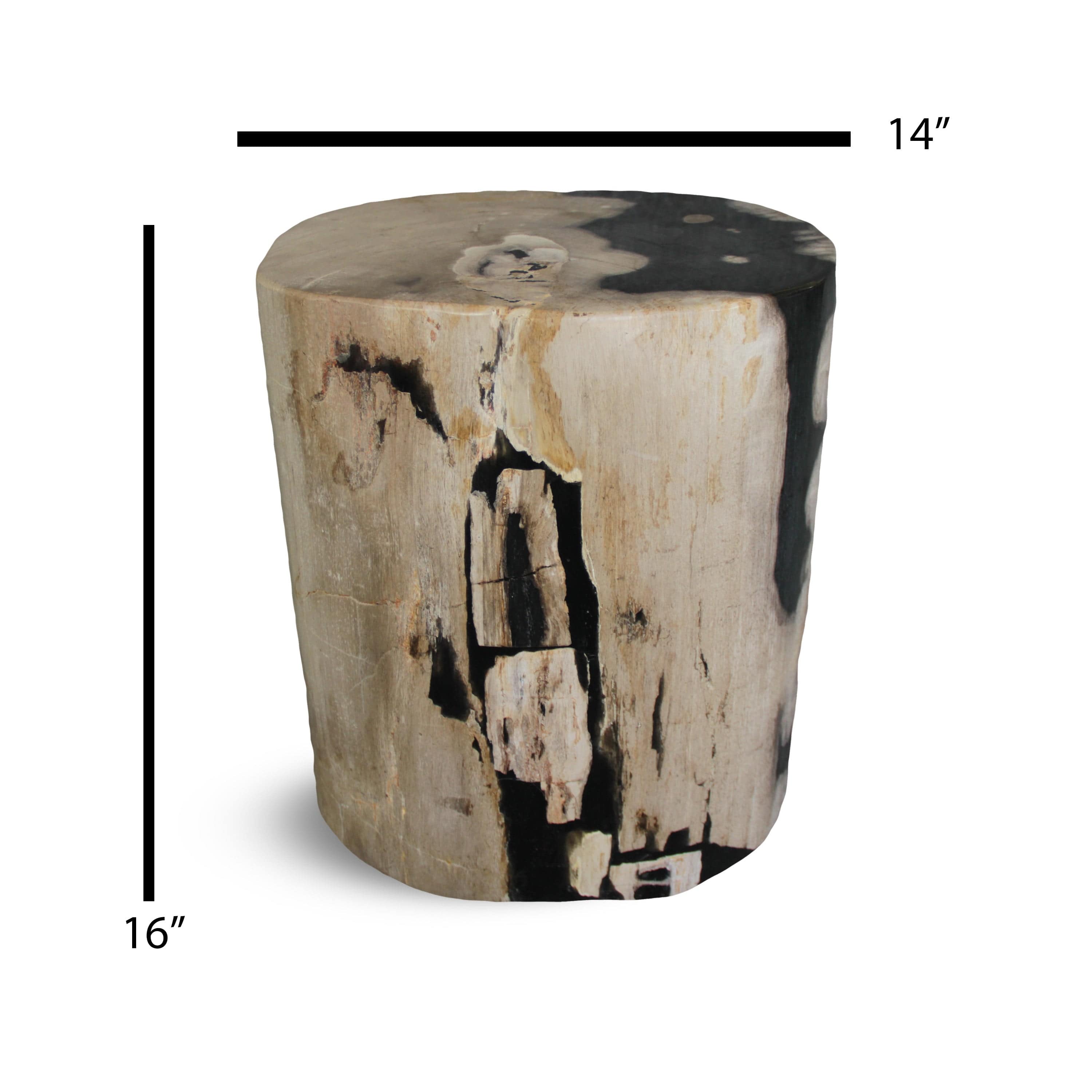 Kalifano Petrified Wood Petrified Wood Round Stump / Stool from Indonesia - 40" / 233 lbs PWS4400.011