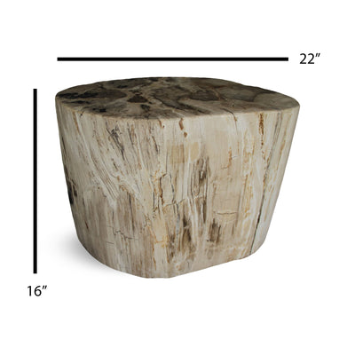 Kalifano Petrified Wood Petrified Wood Round Stump / Stool from Indonesia - 40" / 330 lbs PWS6000.004
