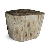 Petrified Wood Round Stump / Stool from Indonesia - 16