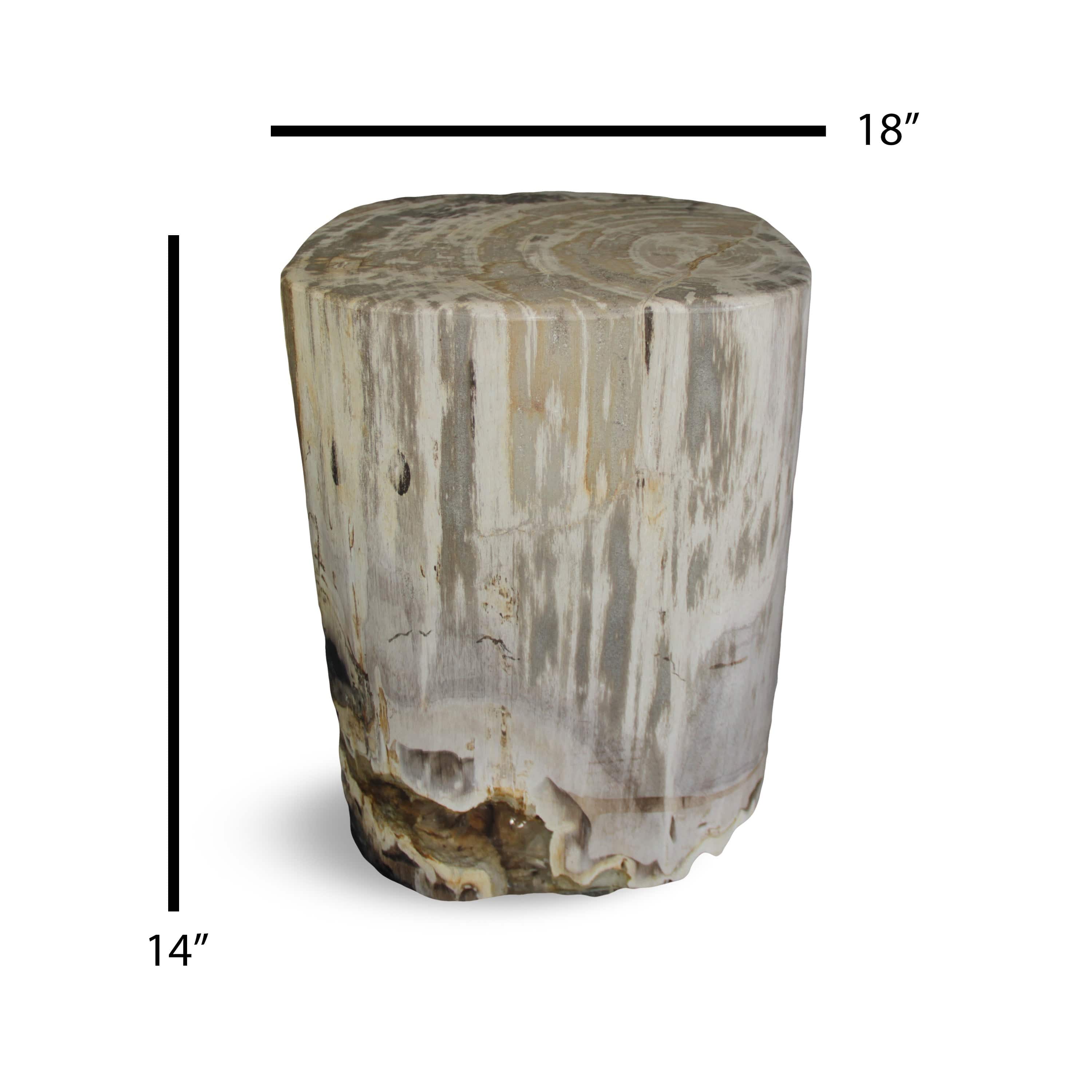 Kalifano Petrified Wood Petrified Wood Round Stump / Stool from Indonesia - 45" / 253 lbs PWS4600.002