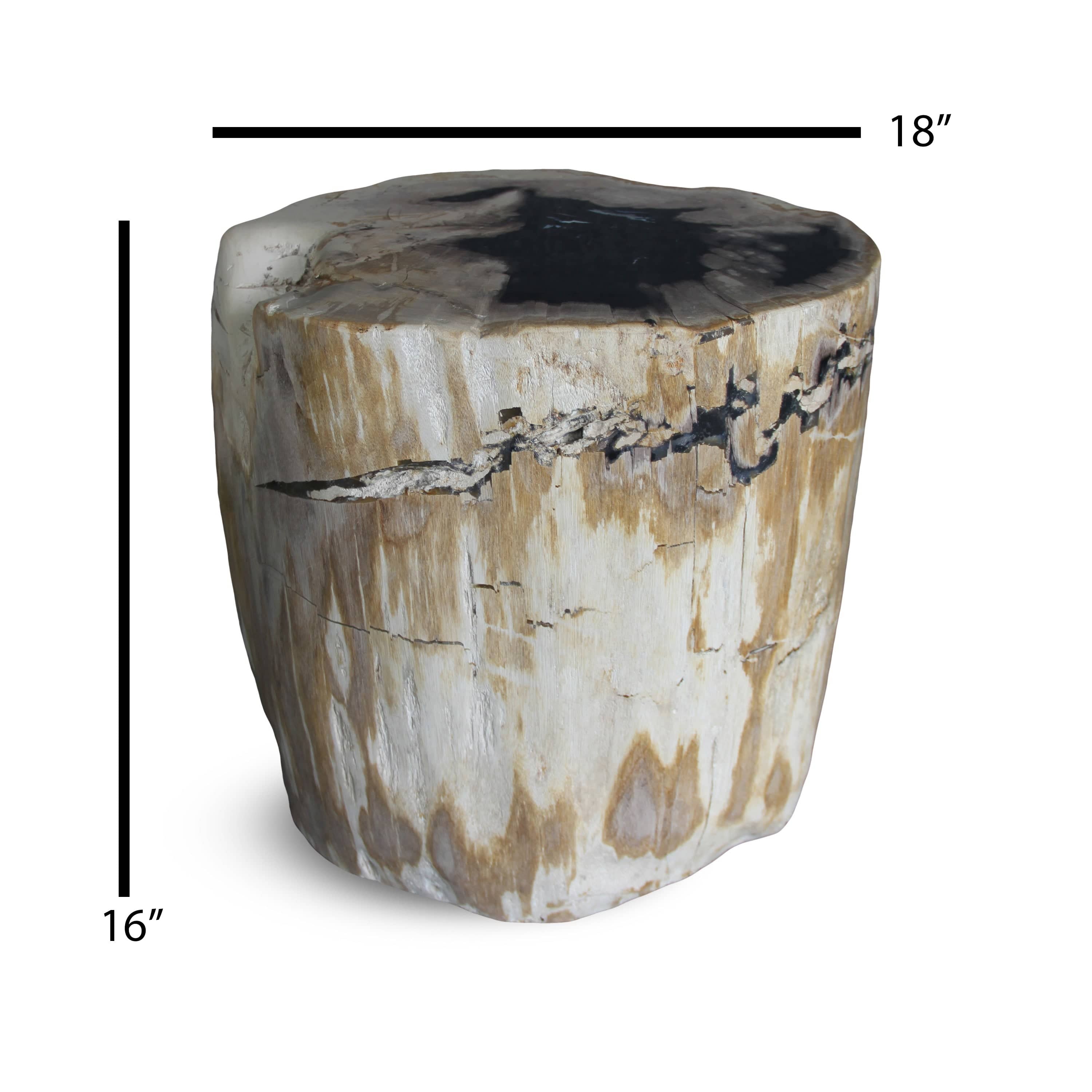 Kalifano Petrified Wood Petrified Wood Round Stump / Stool from Indonesia - 45" / 266 lbs PWS5000.007