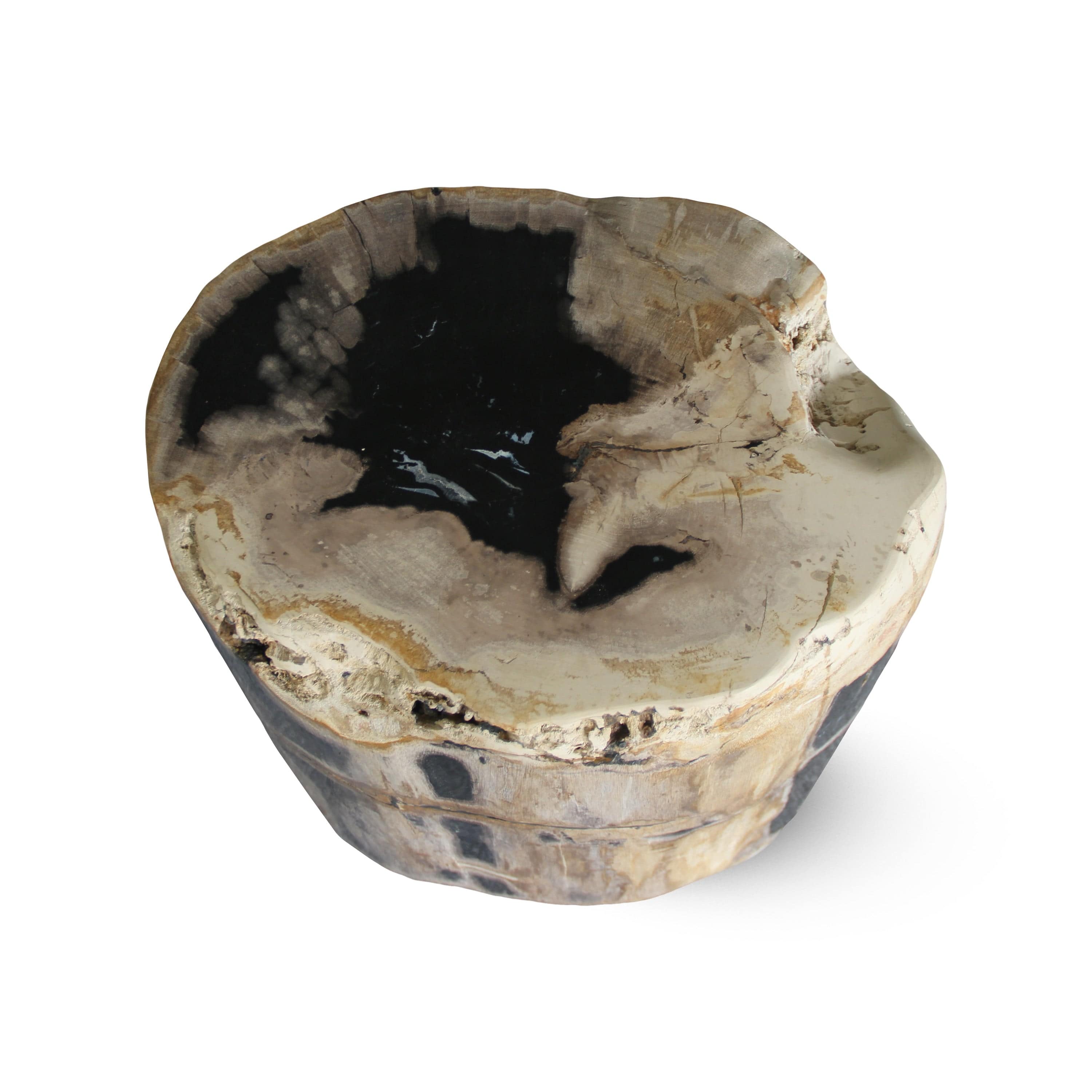 Kalifano Petrified Wood Petrified Wood Round Stump / Stool from Indonesia - 45" / 266 lbs PWS5000.007