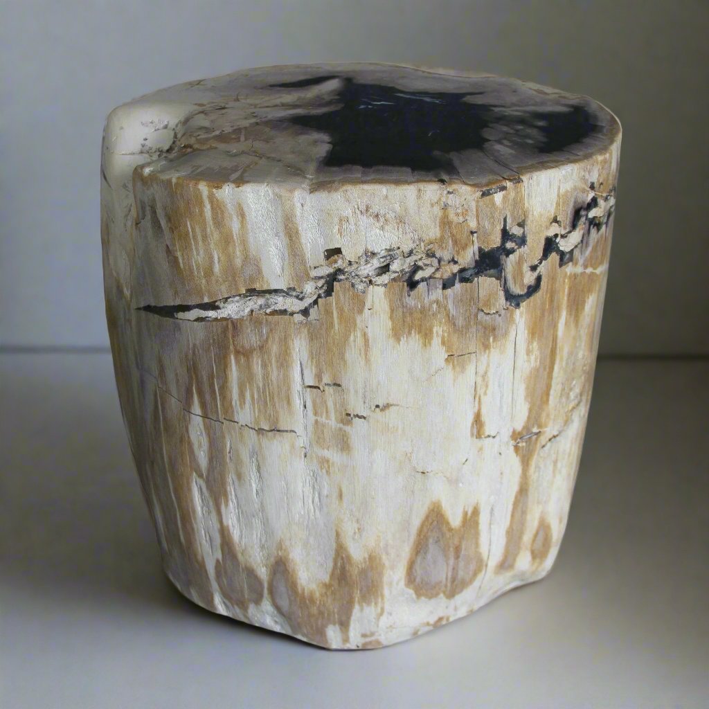 Kalifano Petrified Wood Petrified Wood Round Stump / Stool from Indonesia - 45" / 266 lbs PWS5000.007