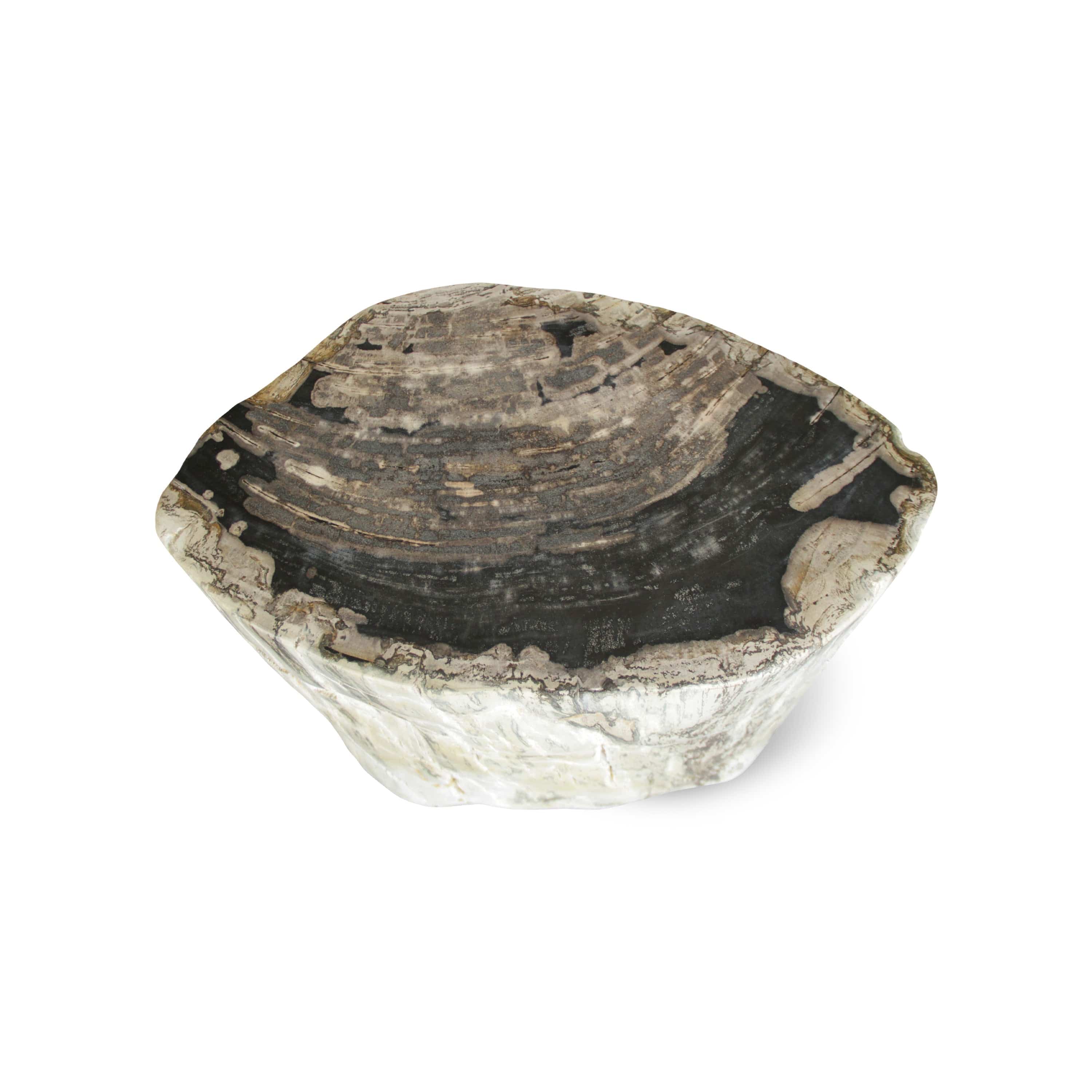 Kalifano Petrified Wood Petrified Wood Round Stump / Stool from Indonesia - 46" / 200 lbs PWS3800.011