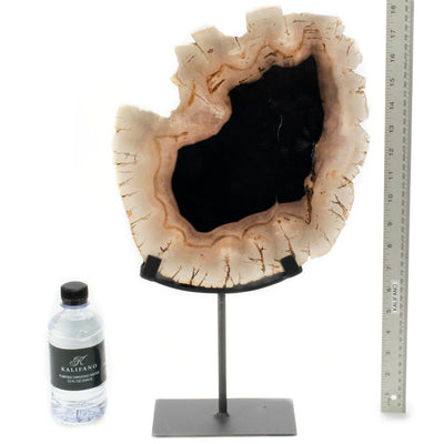 Kalifano Petrified Wood Petrified Wood Slice on Stand PWSS600