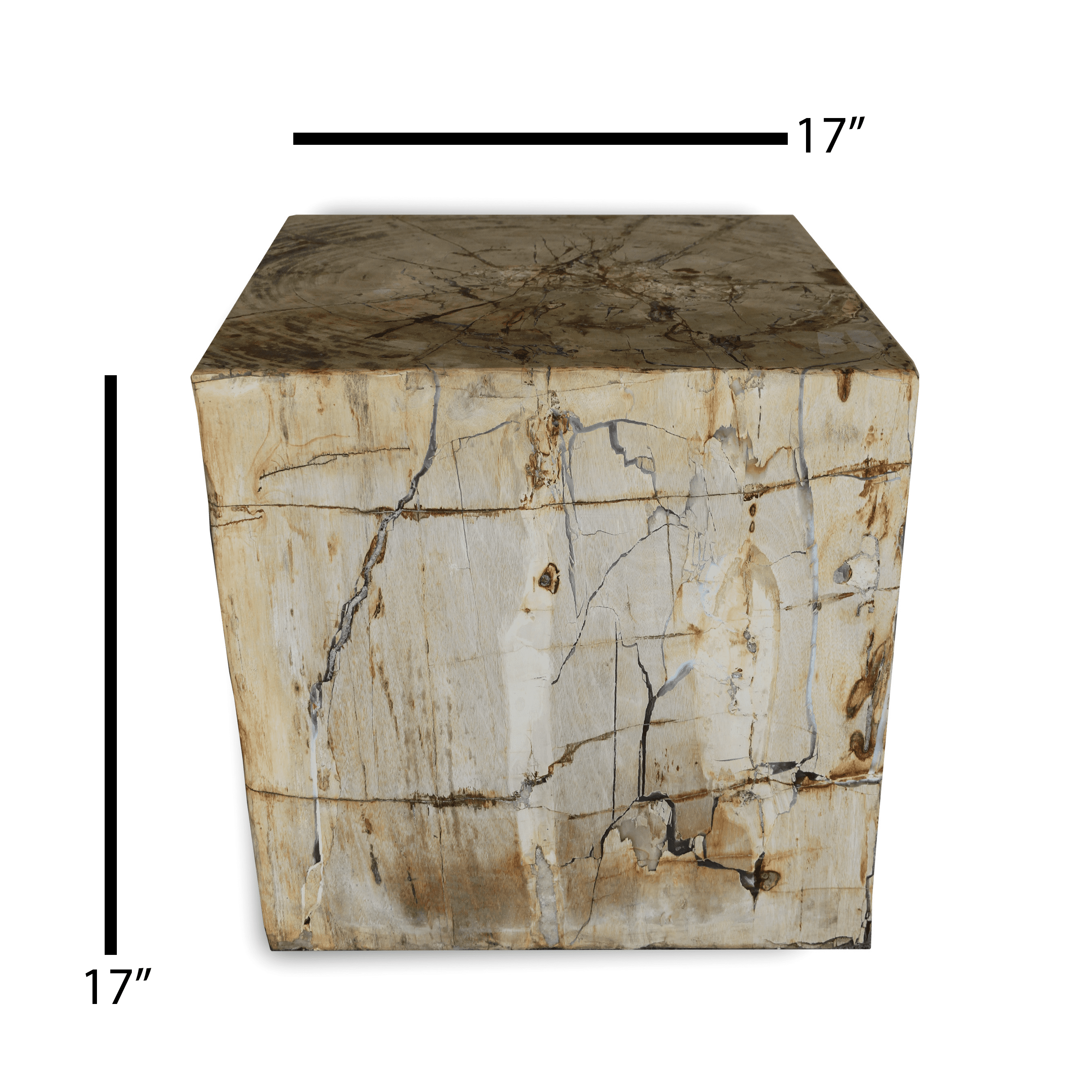 Kalifano Petrified Wood Petrified Wood Square Stump / Stool from Indonesia - 17" / 381 lbs PWSS10400.001